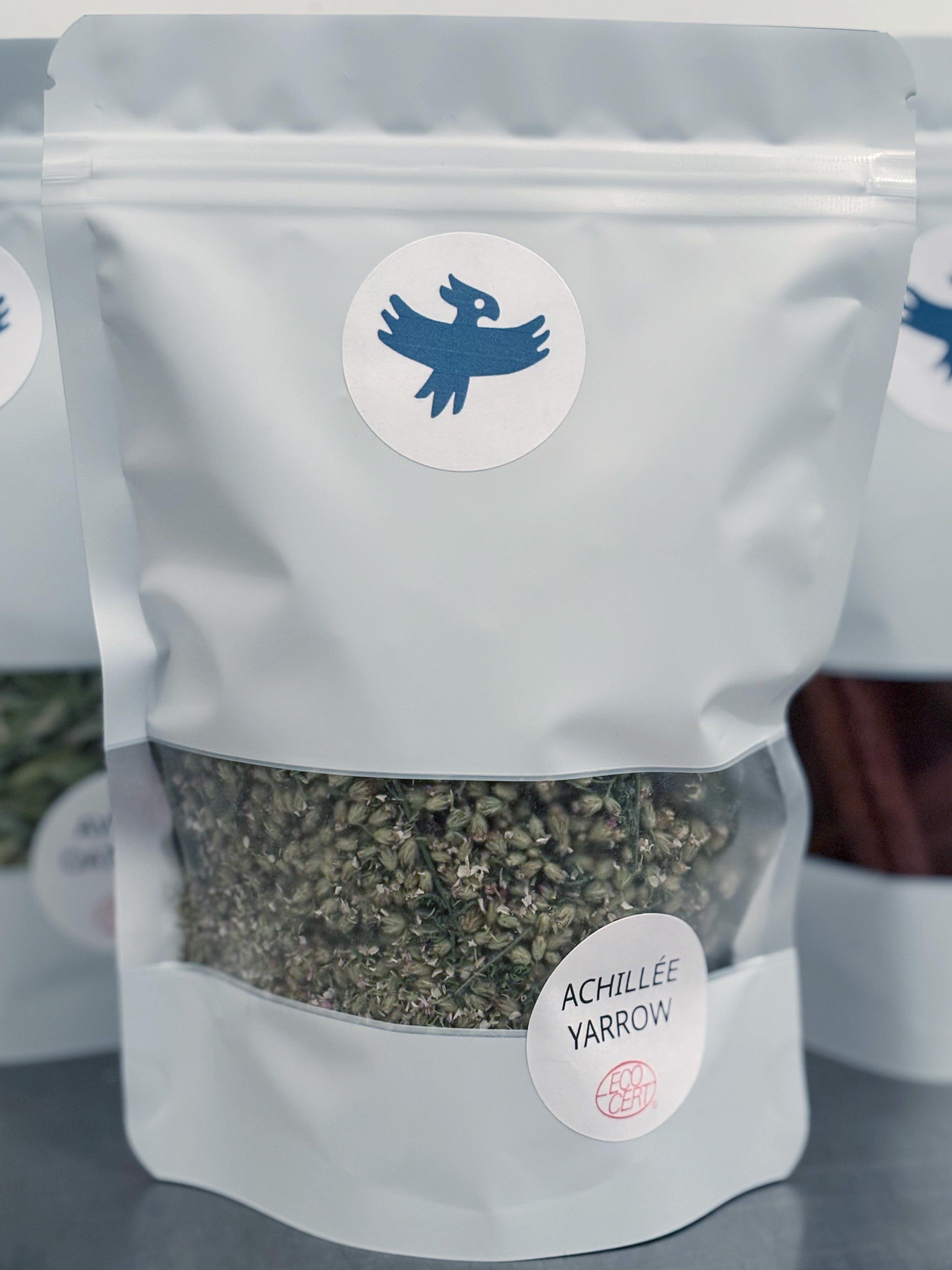 Achillée Millefeuille (tisane Biologique)