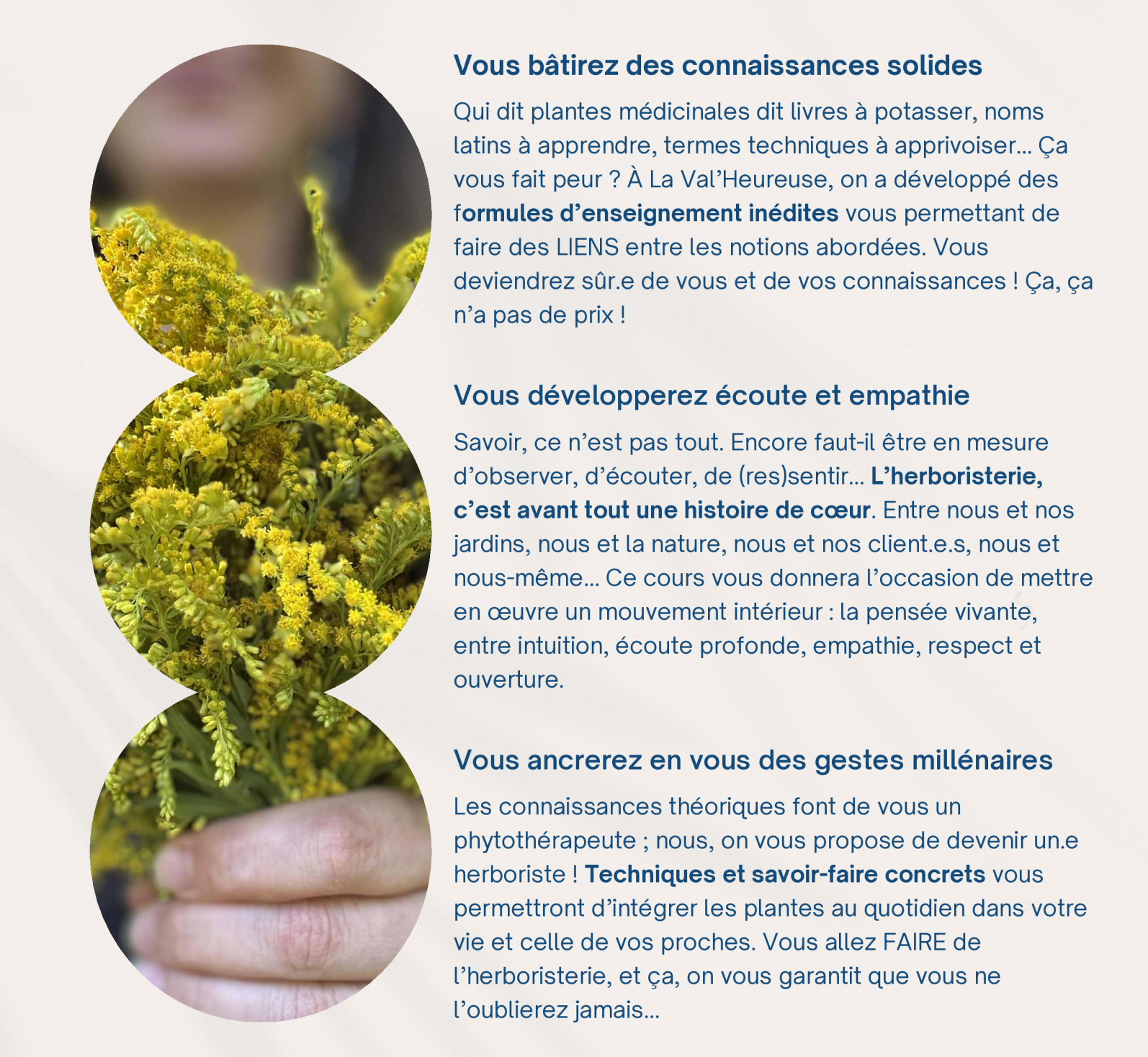 Une fiche qui synthétise les valeurs et compétences transmise par les formations en herboristerie traditionnelle de La Val'Heureuse.