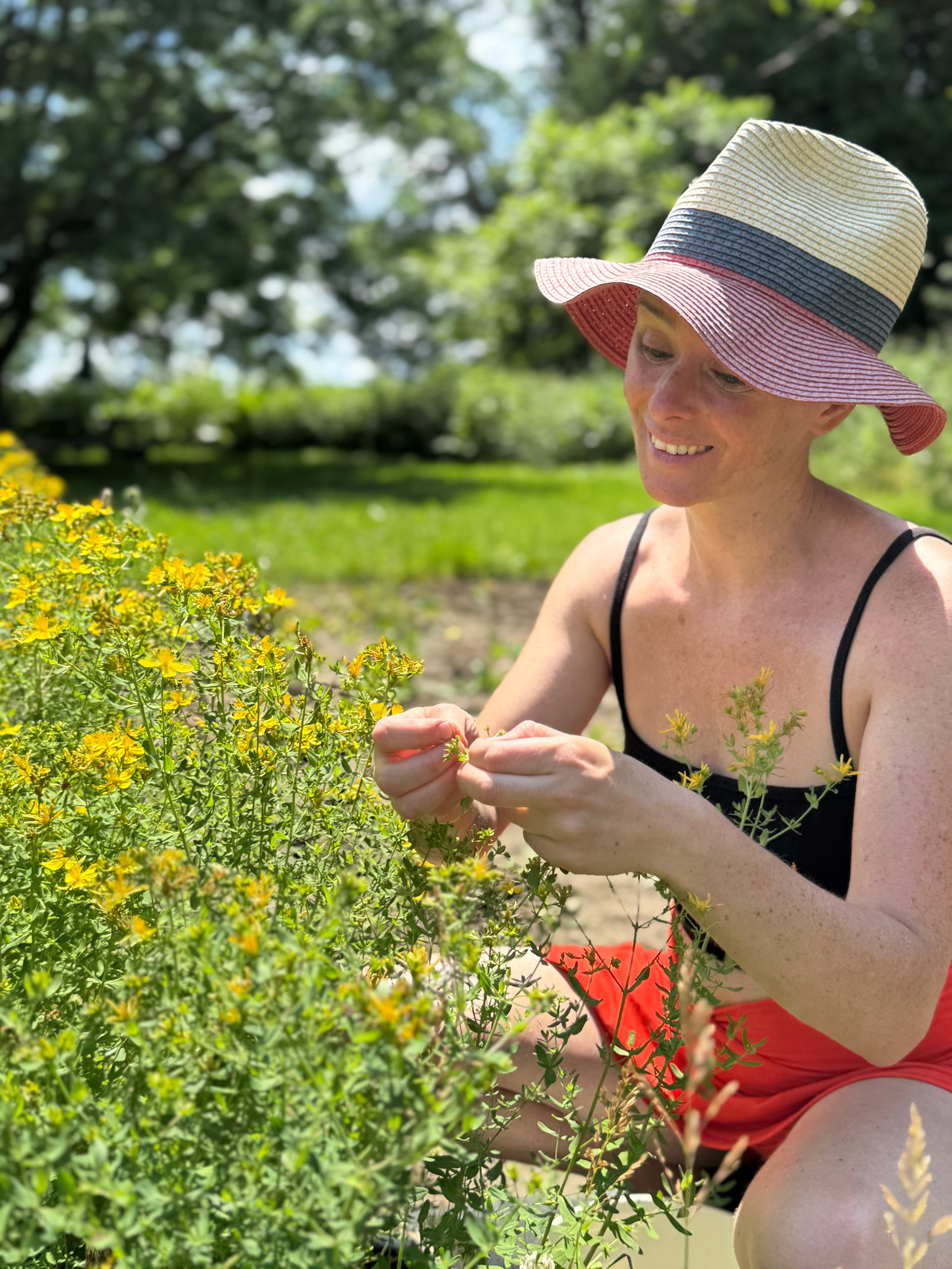 Module Été - formation en herboristerie traditionnelle