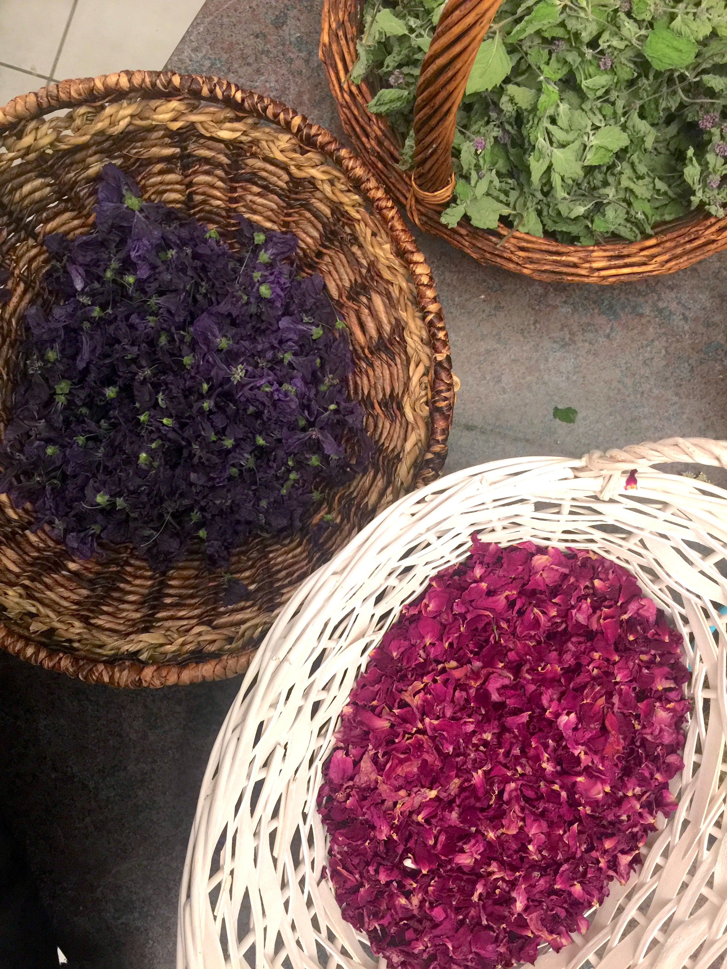 Certificat en herboristerie traditionnelle