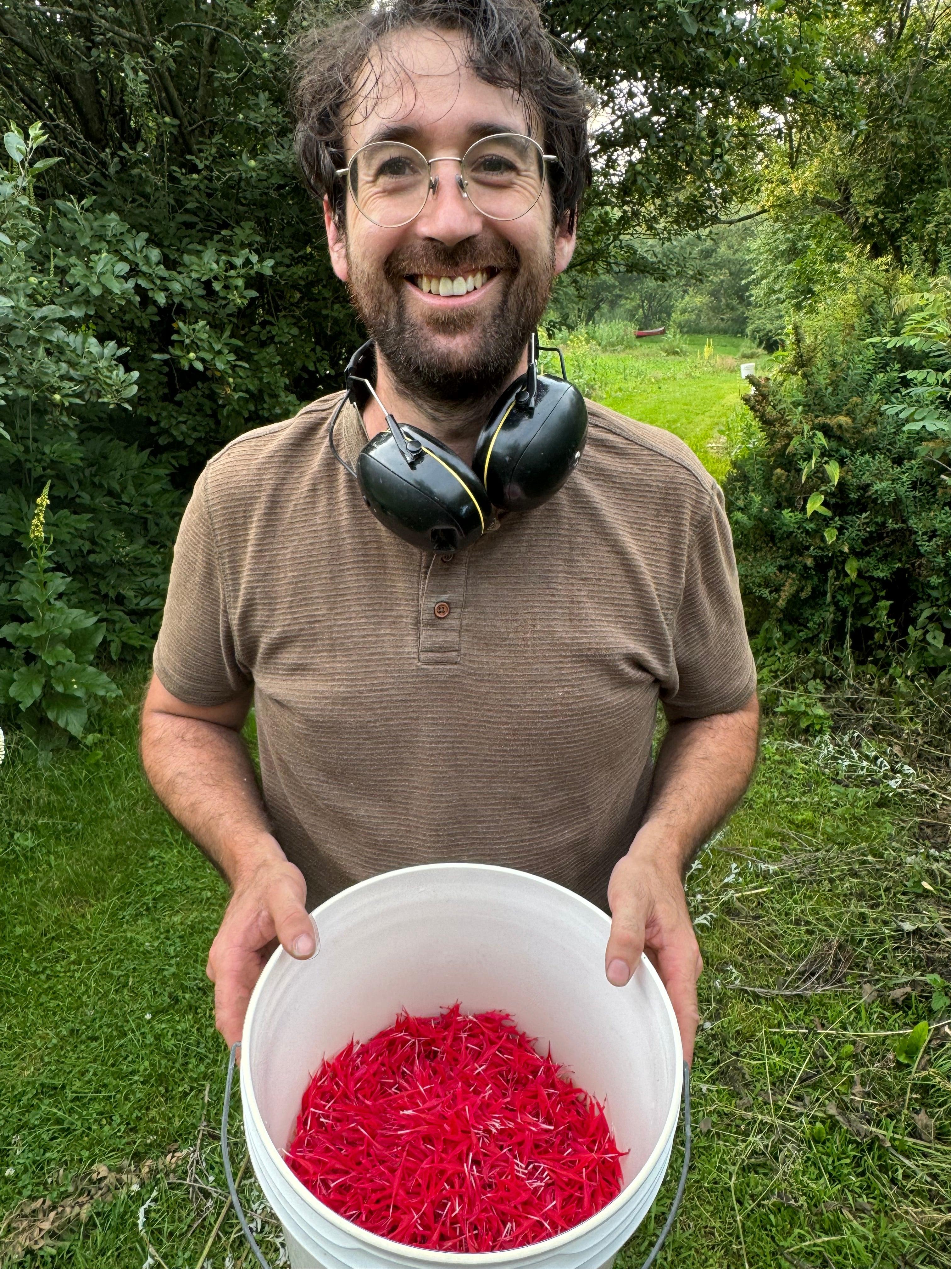 Pierre Barrellon Récolte les fleurs de Monarde à l'Herboristerie La Val'Heureue