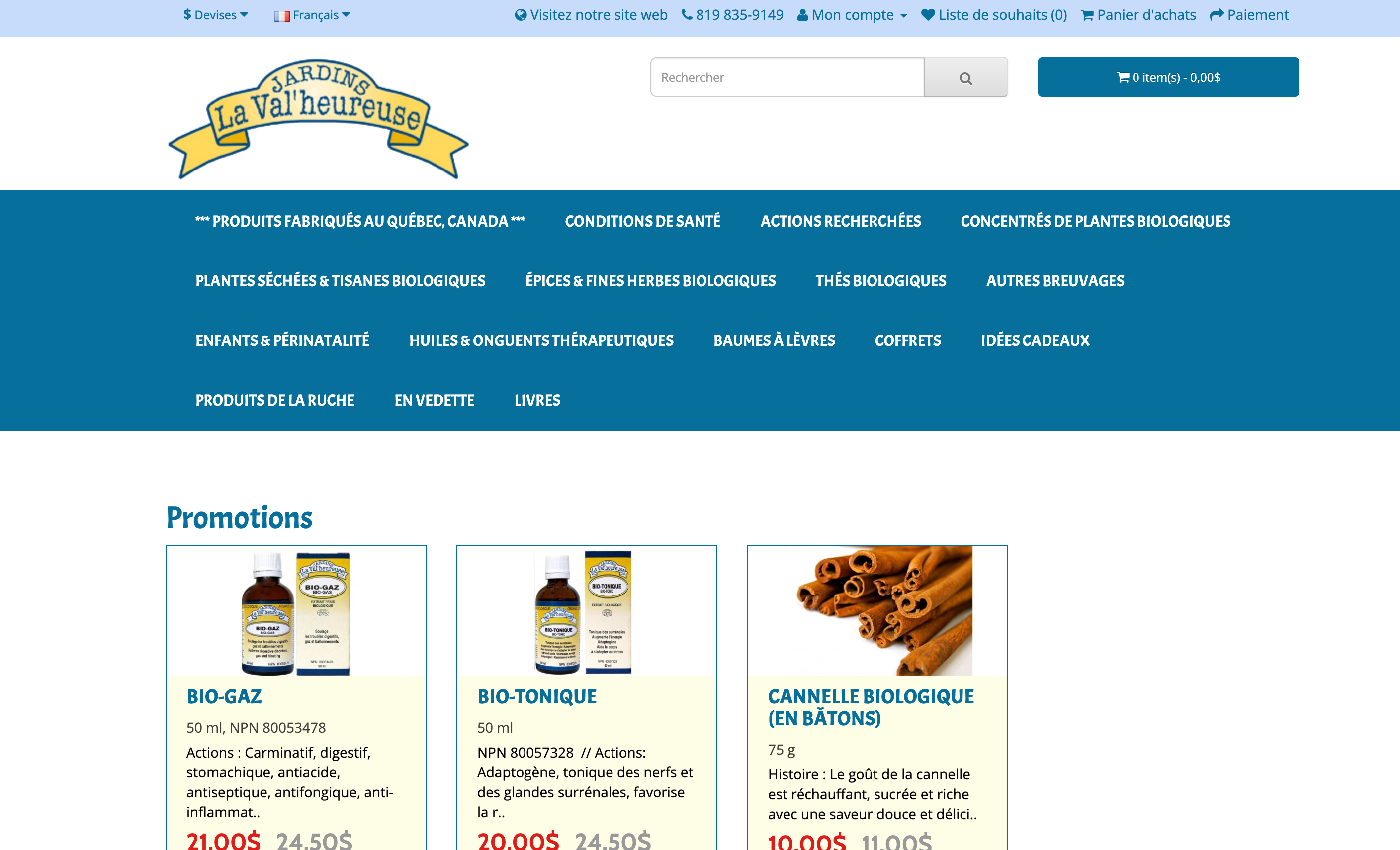 Capture d'écran de la boutique en ligne lance en 2016