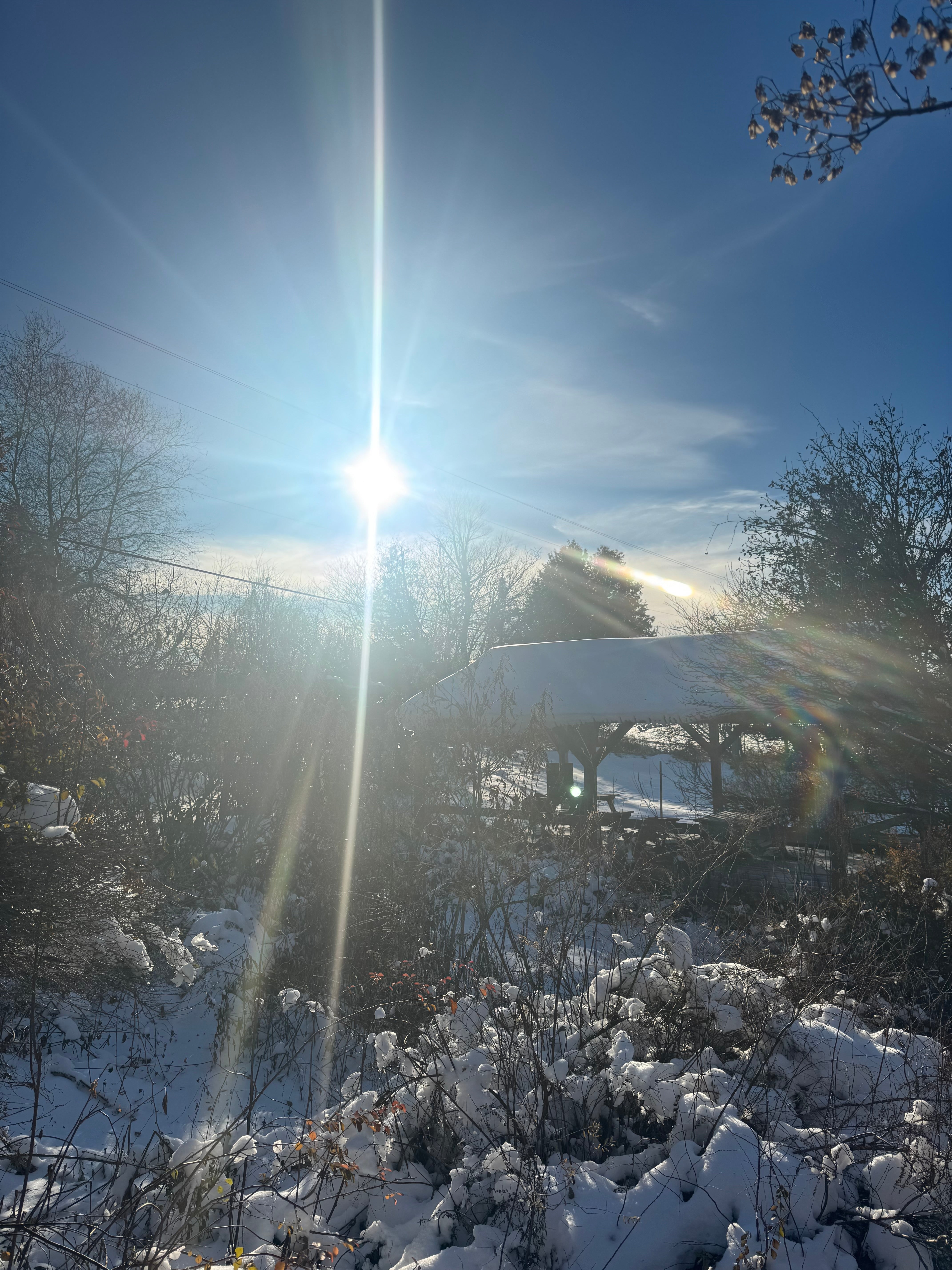 Soleil aveuglant au dessus du préau des jardins La Val'Heureuse.