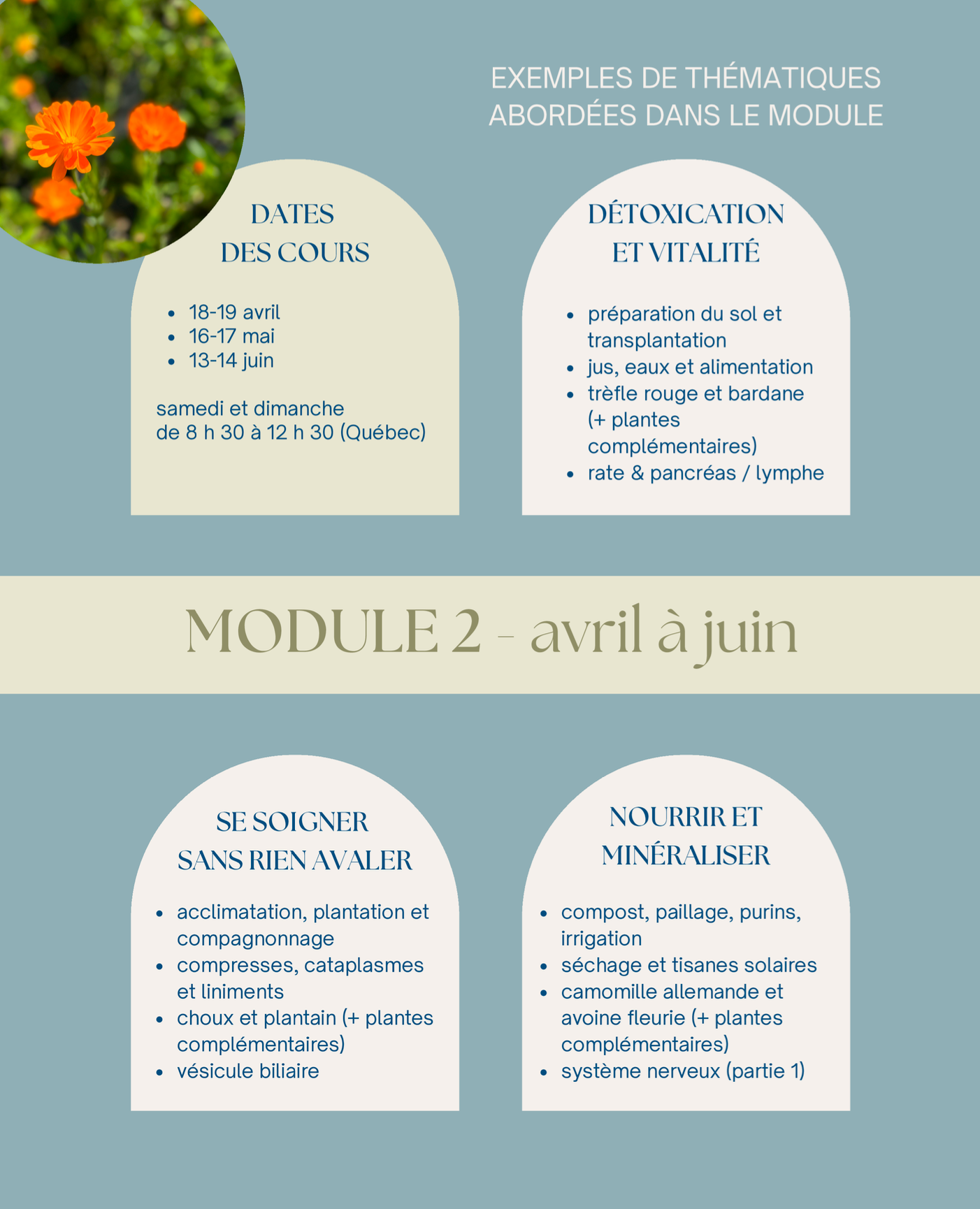 Résumé du module Printemps de formations en herboristerie traditionnelle La Val'Heureuse.