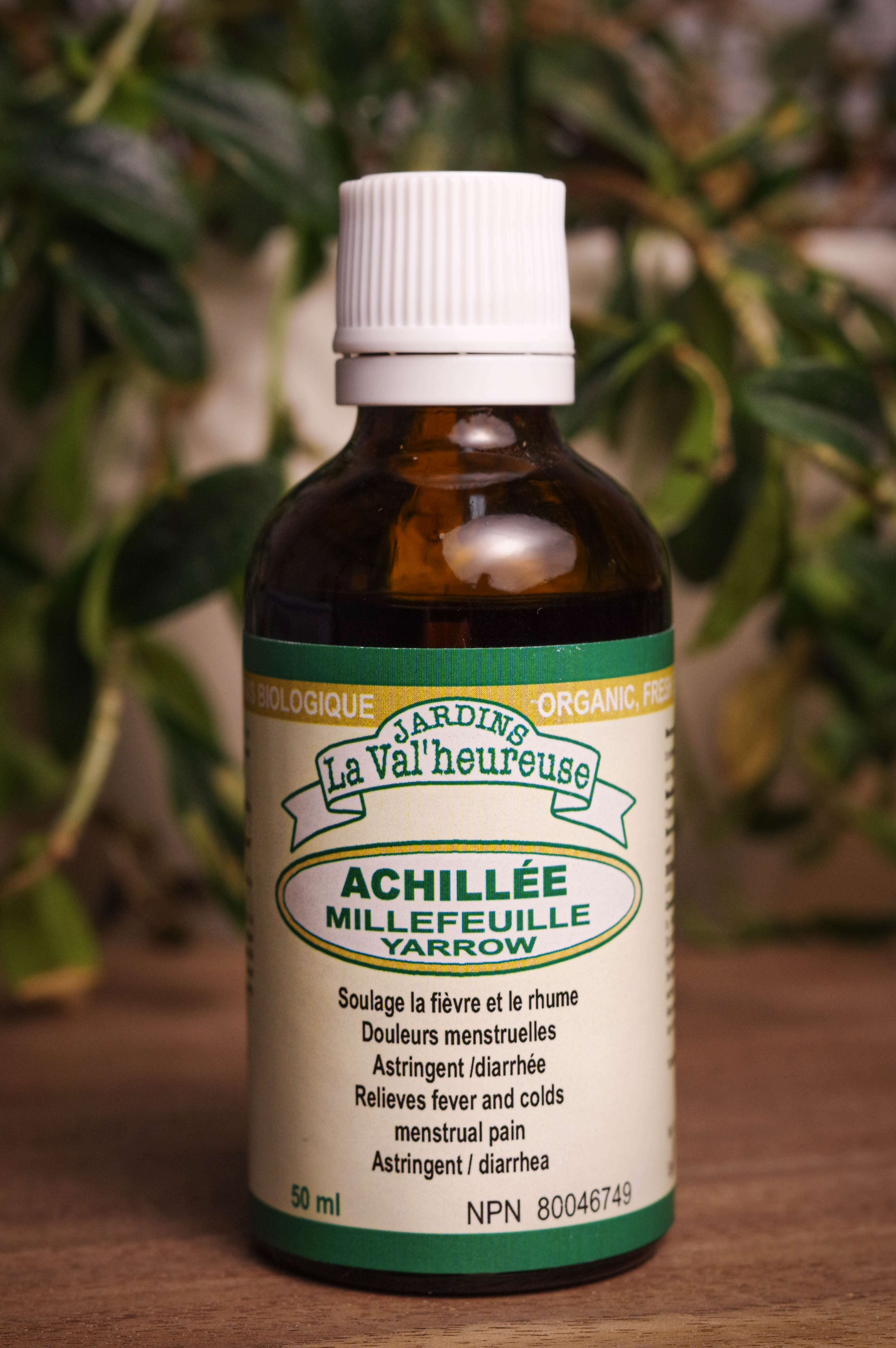 Bouteille de concentré liquide simple d'Achillée Millefeuille en gros plan