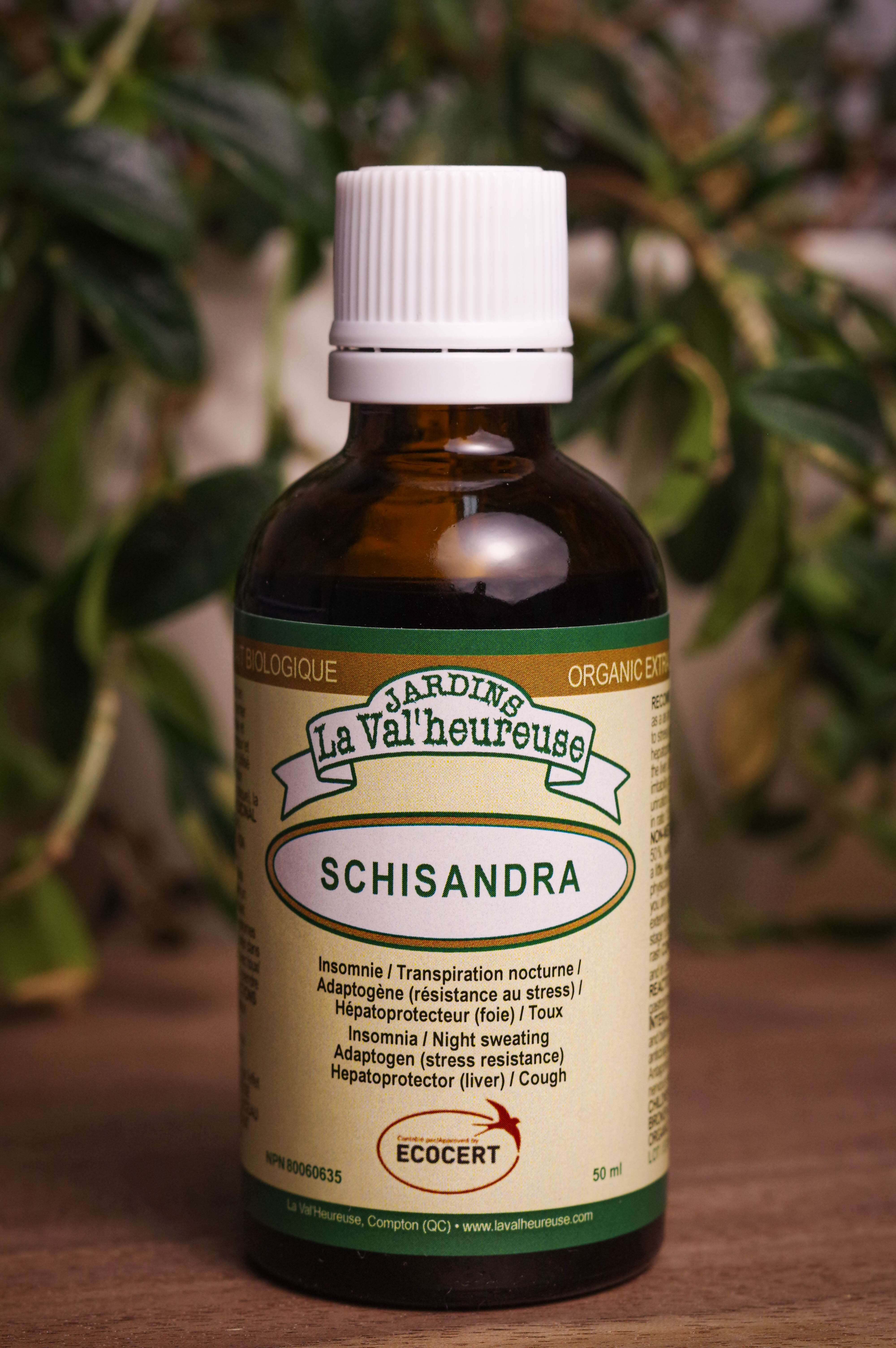 Bouteille de concentré liquide simple de Schisandra en gros plan