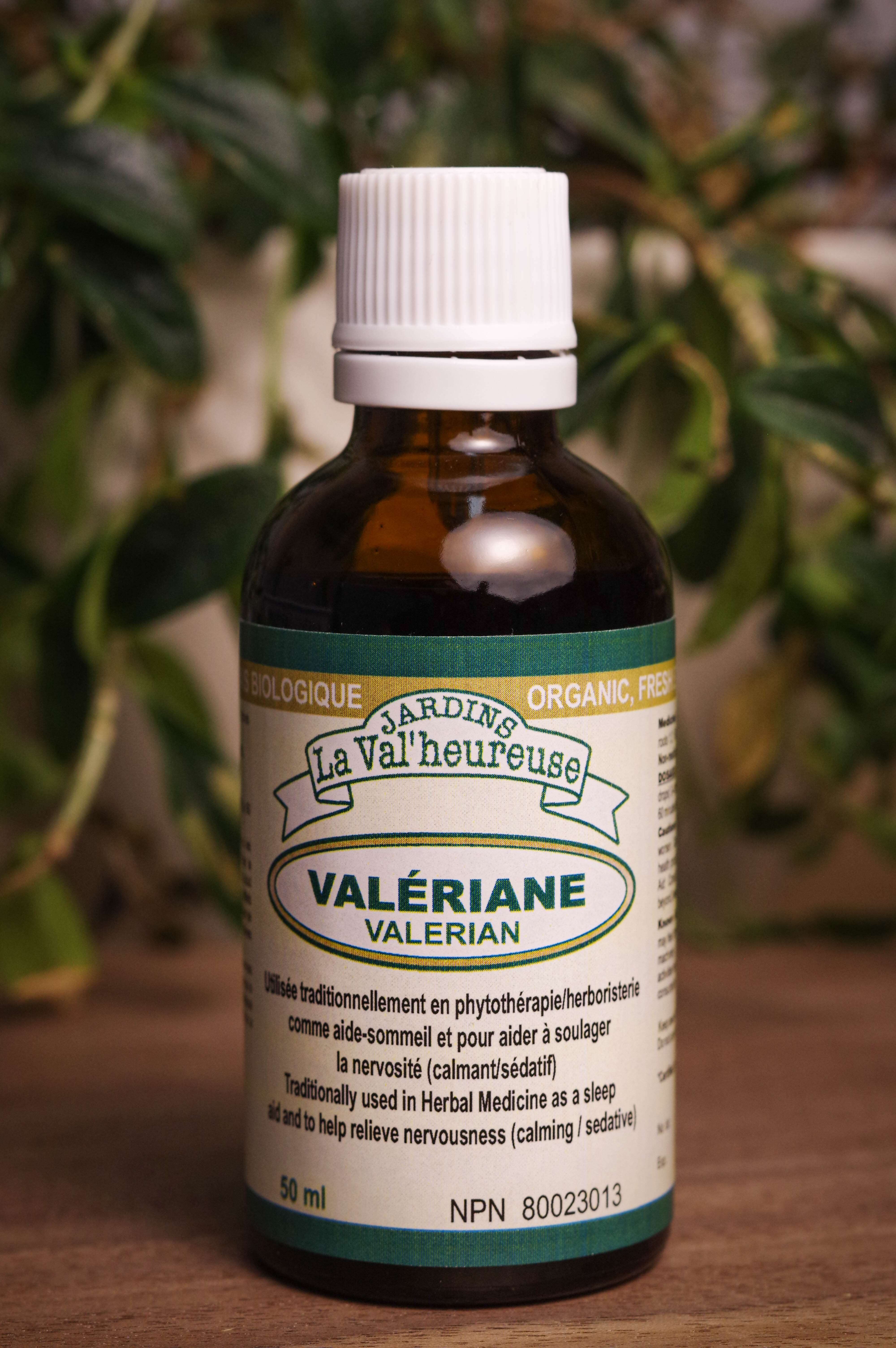 Bouteille de concentré liquide simple de Valériane en gros plan