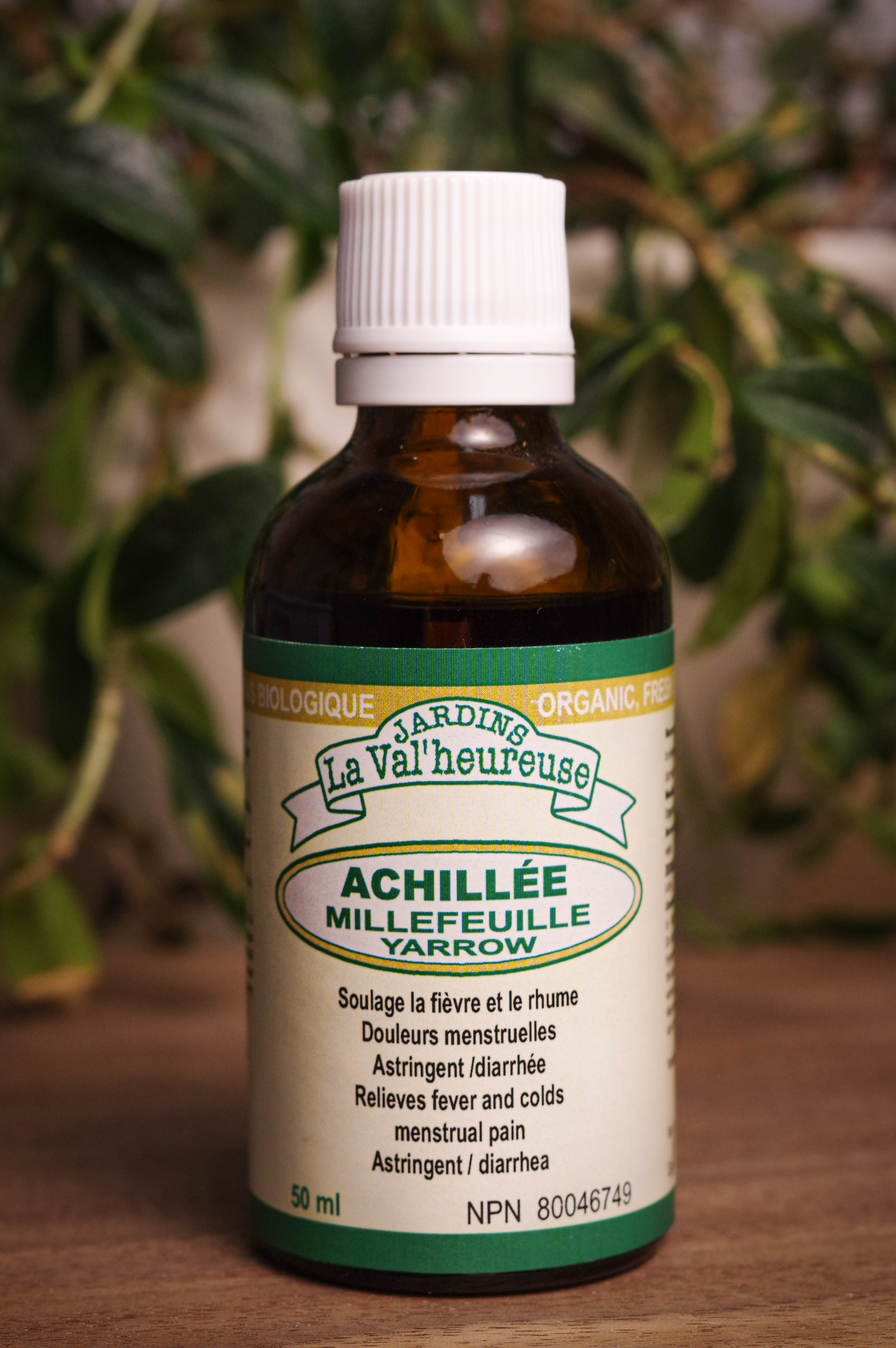 Bouteille de concentré liquide simple d'Achillée Millefeuille en gros plan