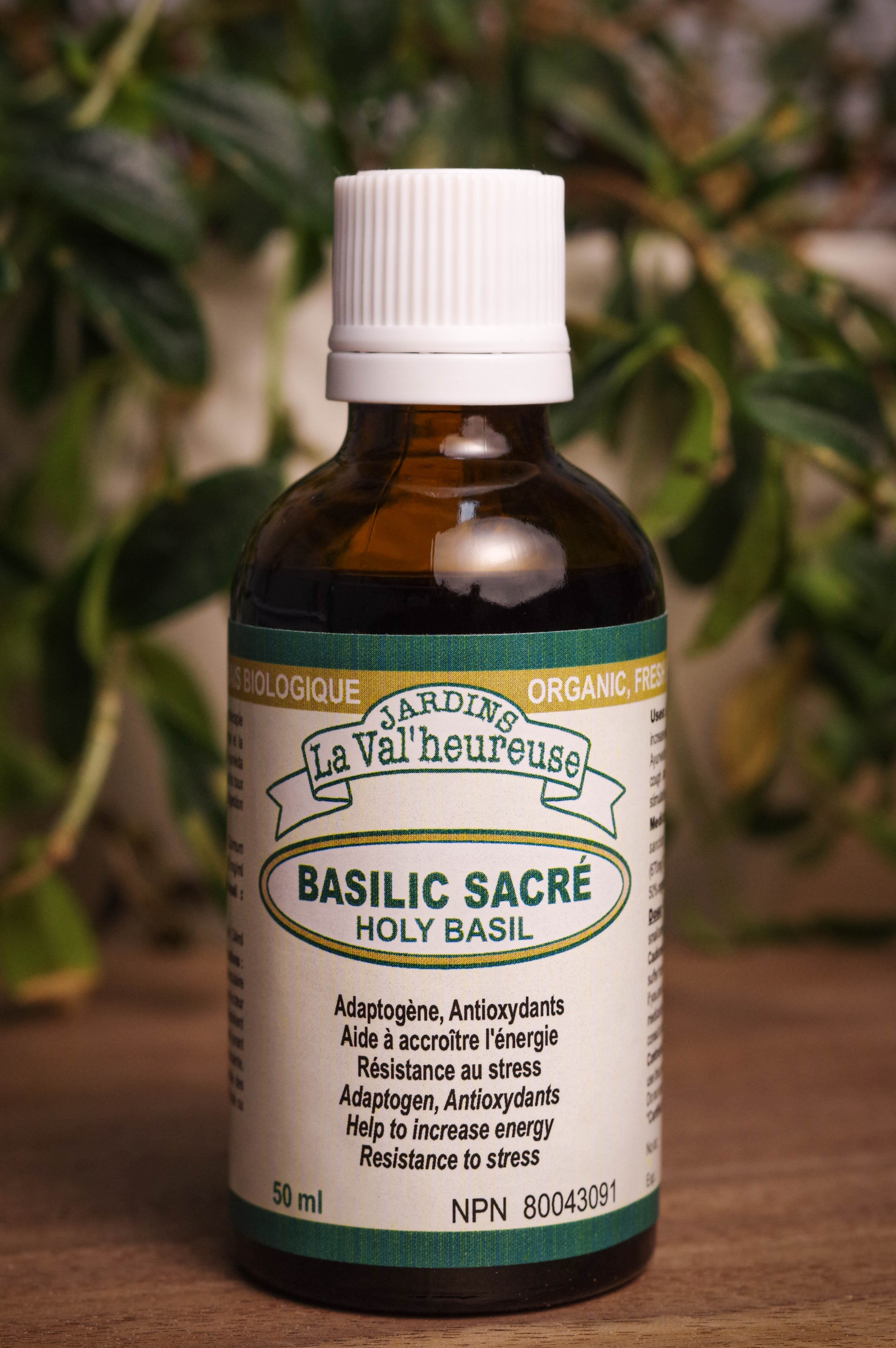 Holy basil tincture