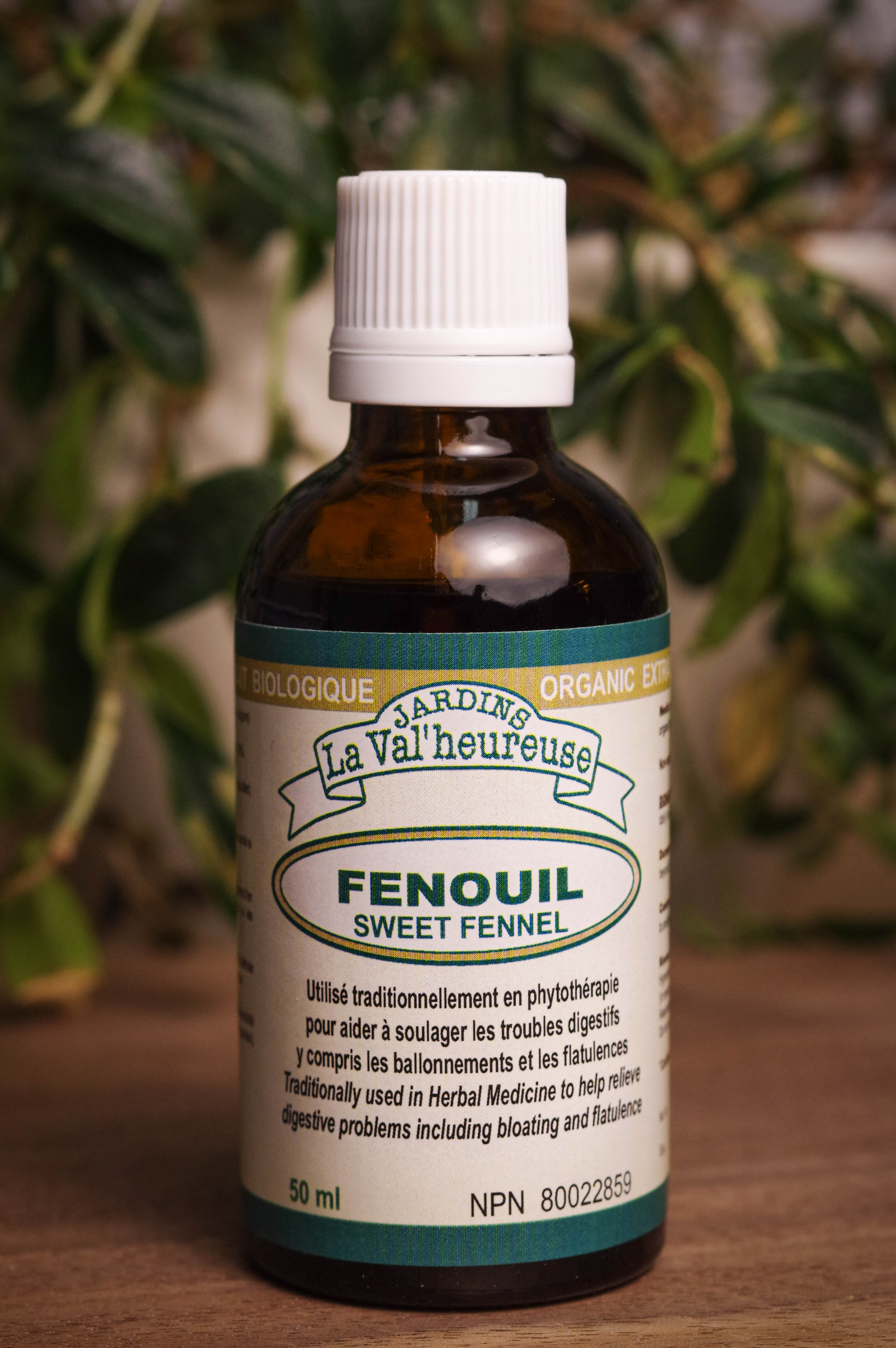 Bouteille de concentré liquide simple de Fenouil en gros plan