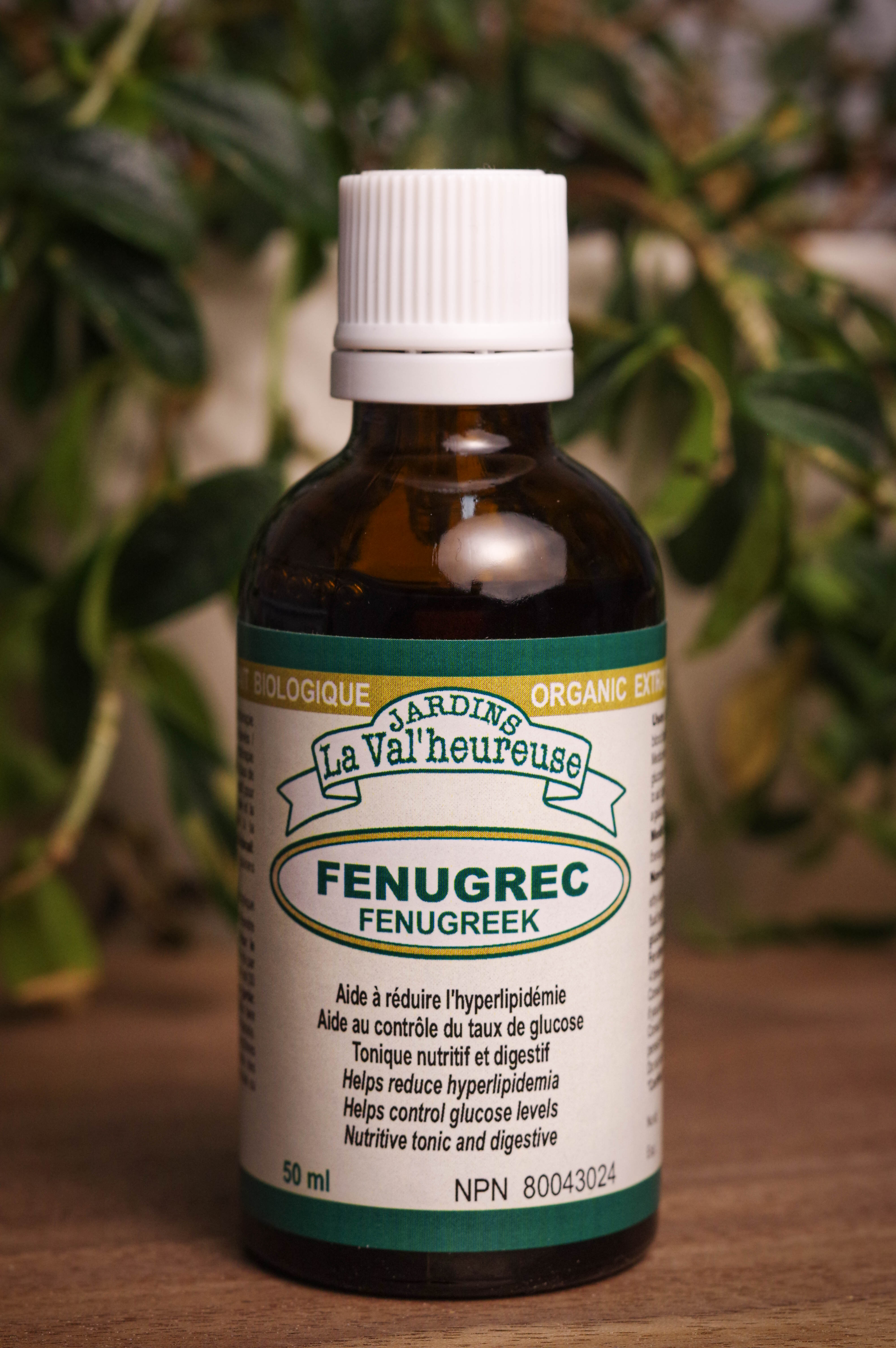 Bouteille de concentré liquide simple de Fenugrec en gros plan