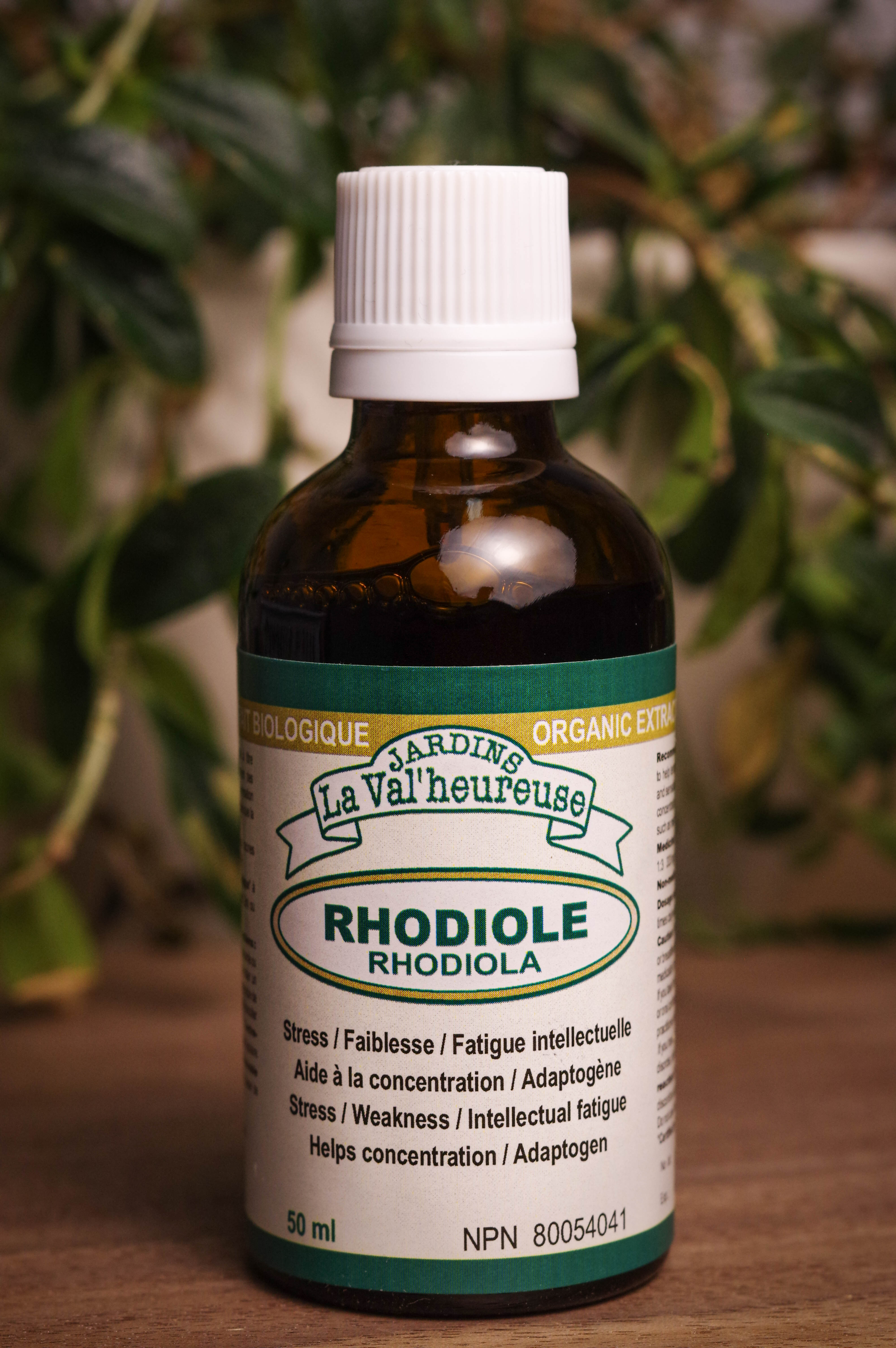 Bouteille de concentré liquide simple de Rhodiole en gros plan