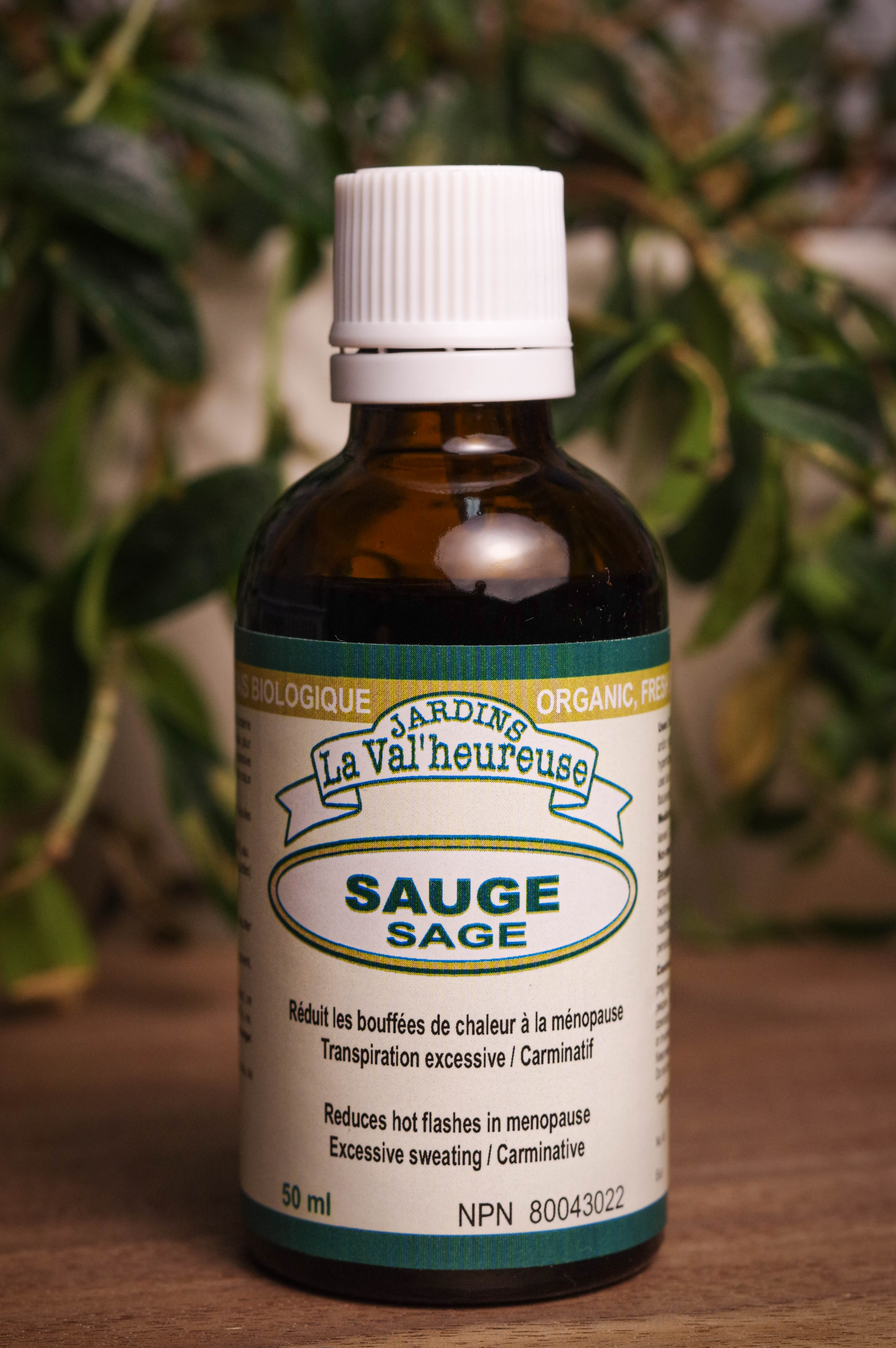 Bouteille de concentré liquide simple de Sauge en gros plan