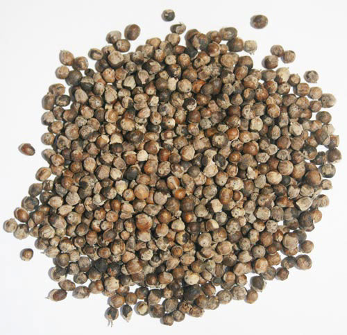 Vitex (organic Extract)