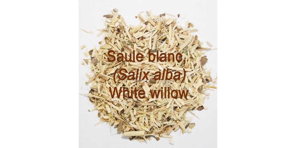 TISANE BIO ÉCORCE de SAULE BLANC, (Salix alba)