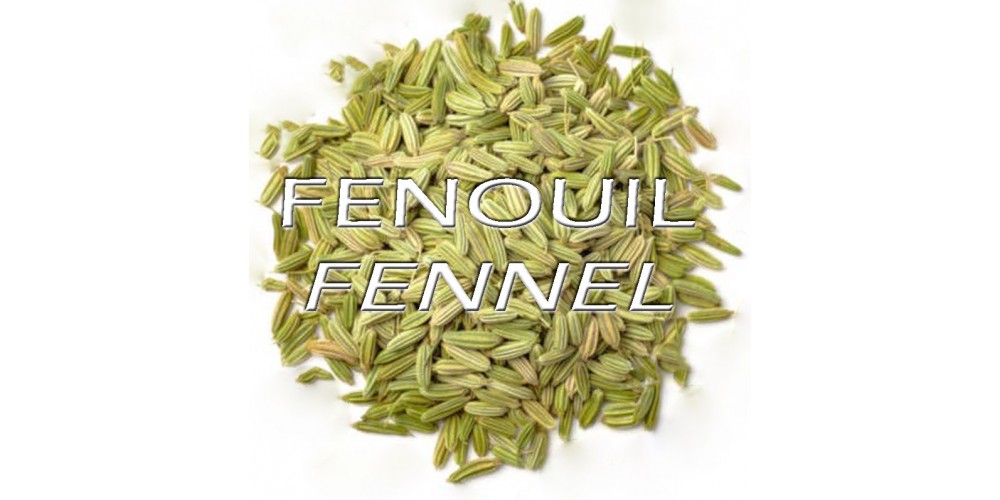 TISANE BIO FENOUIL (Foeniculum vulgare) / graines entières