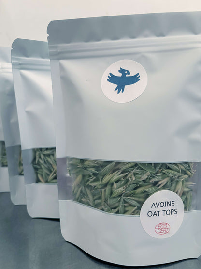 Avoine (tisane Biologique)