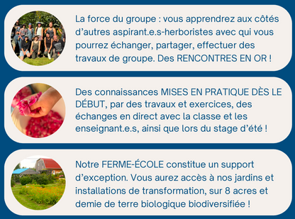 Stage Herboristerie Traditionnelle | Formation 7 jours - La Val'Heureuse