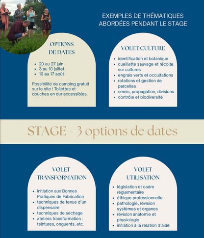 Stage Herboristerie Traditionnelle | Formation 7 jours - La Val'Heureuse