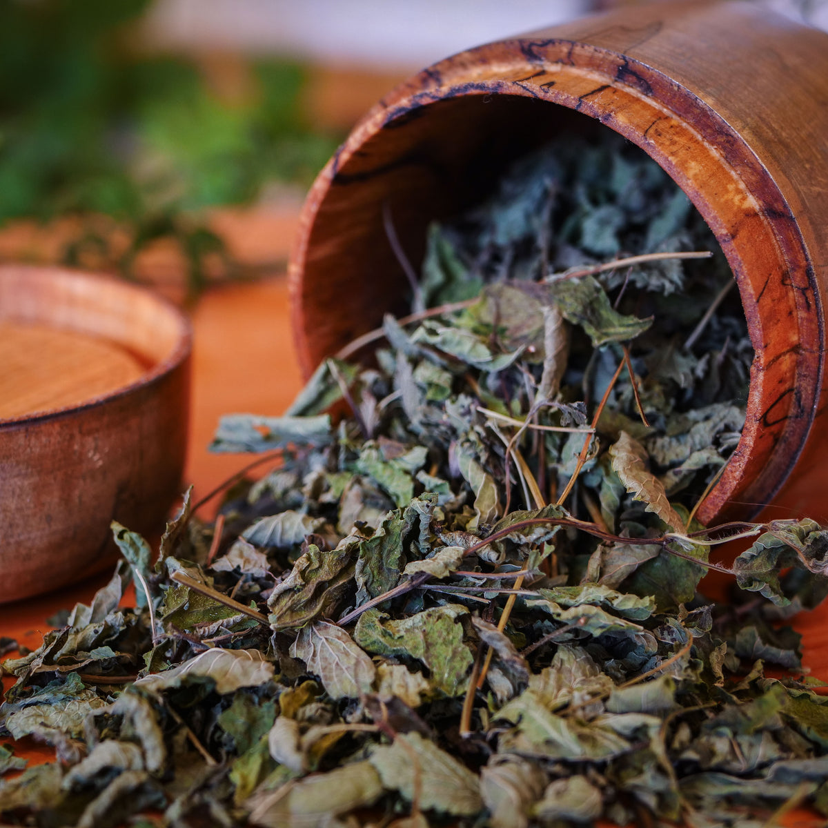 Mélisse citronnée biologique La Val'Heureuse, mise en vbaleur dans un contenant en érable coti.