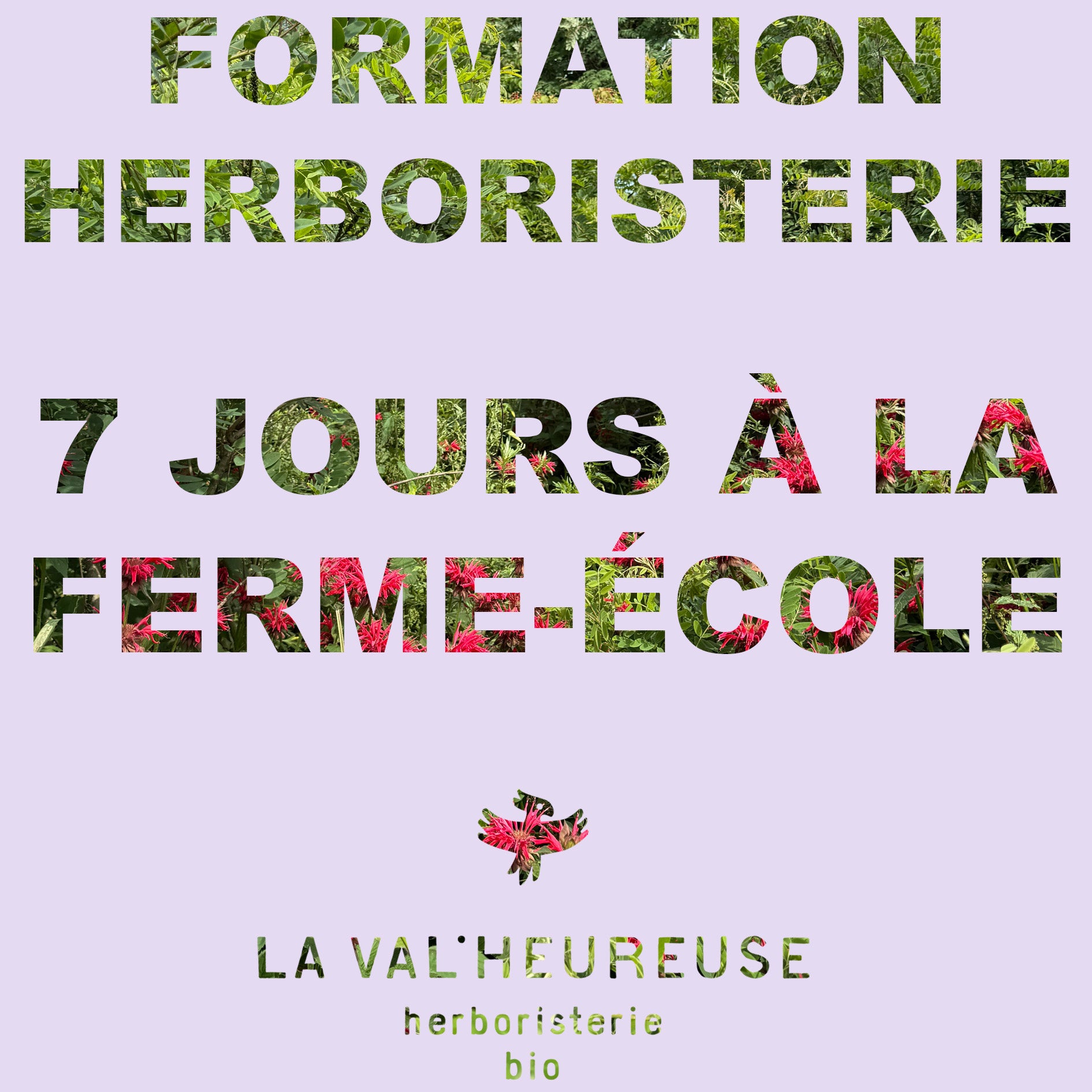 Stage Herboristerie Traditionnelle | Formation 7 jours - La Val'Heureuse