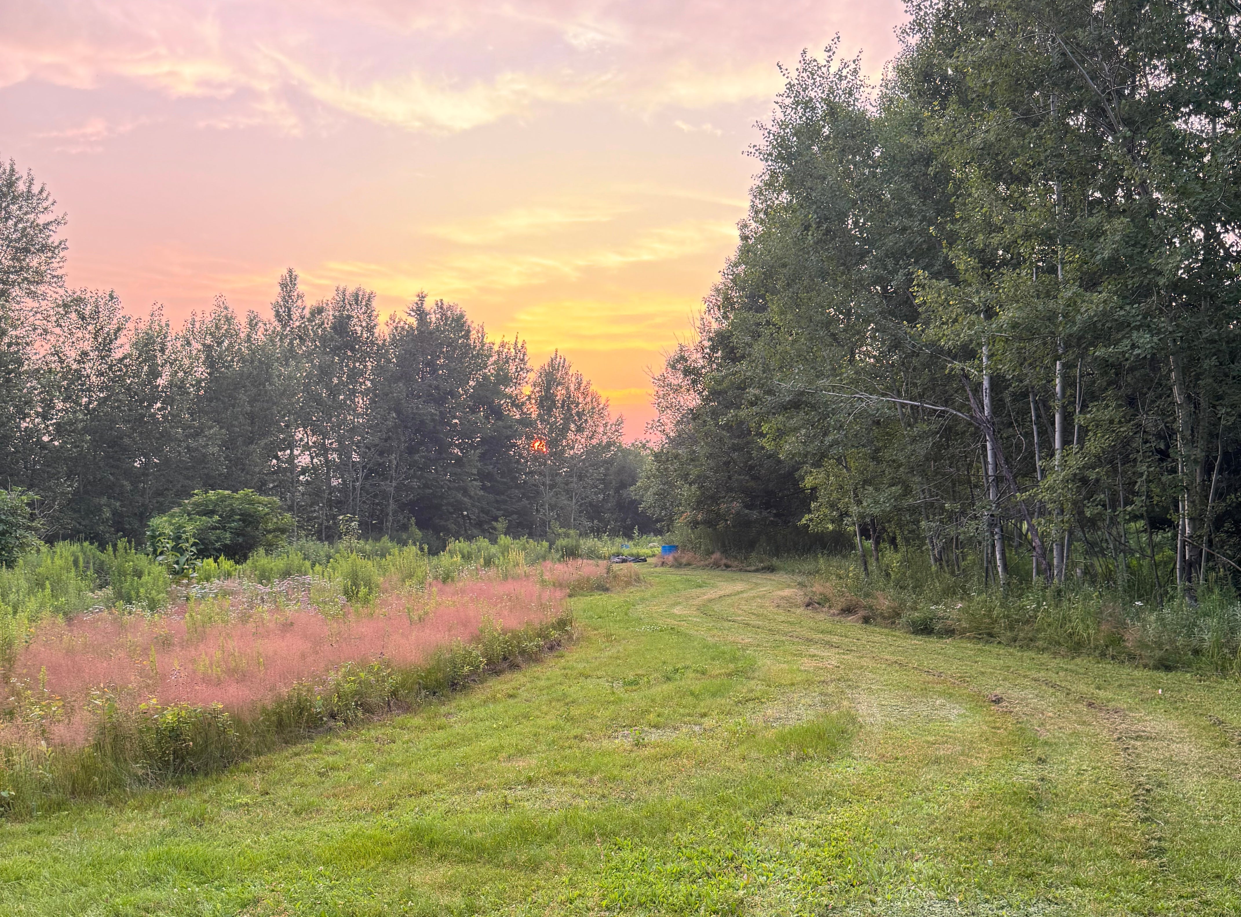 Photographie d'une section des jardins de La Val'Heureuse, au coucher de soleil.