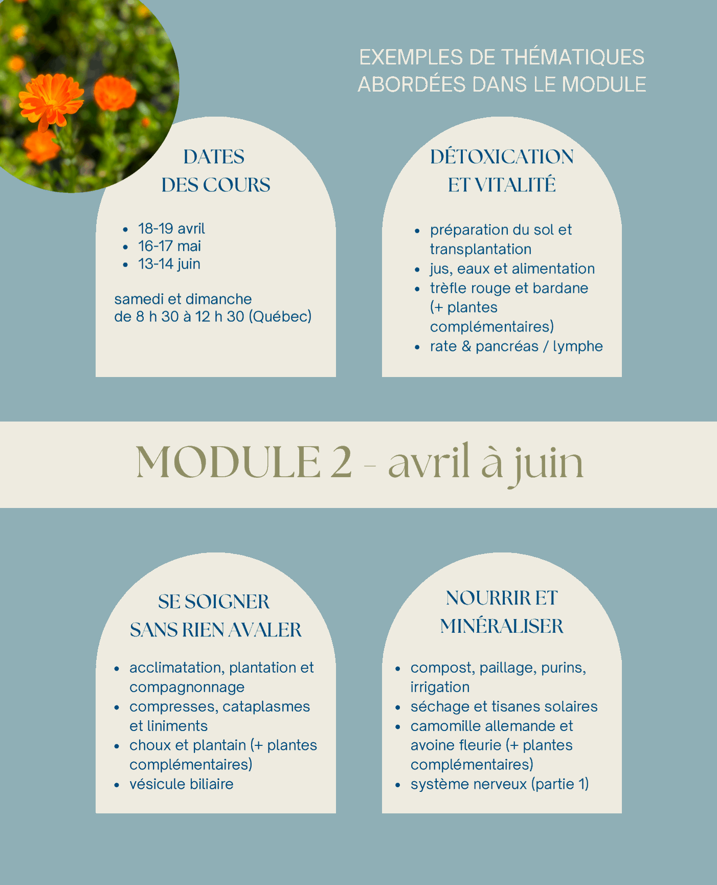 Résumé du module Printemps de formations en herboristerie traditionnelle La Val'Heureuse.