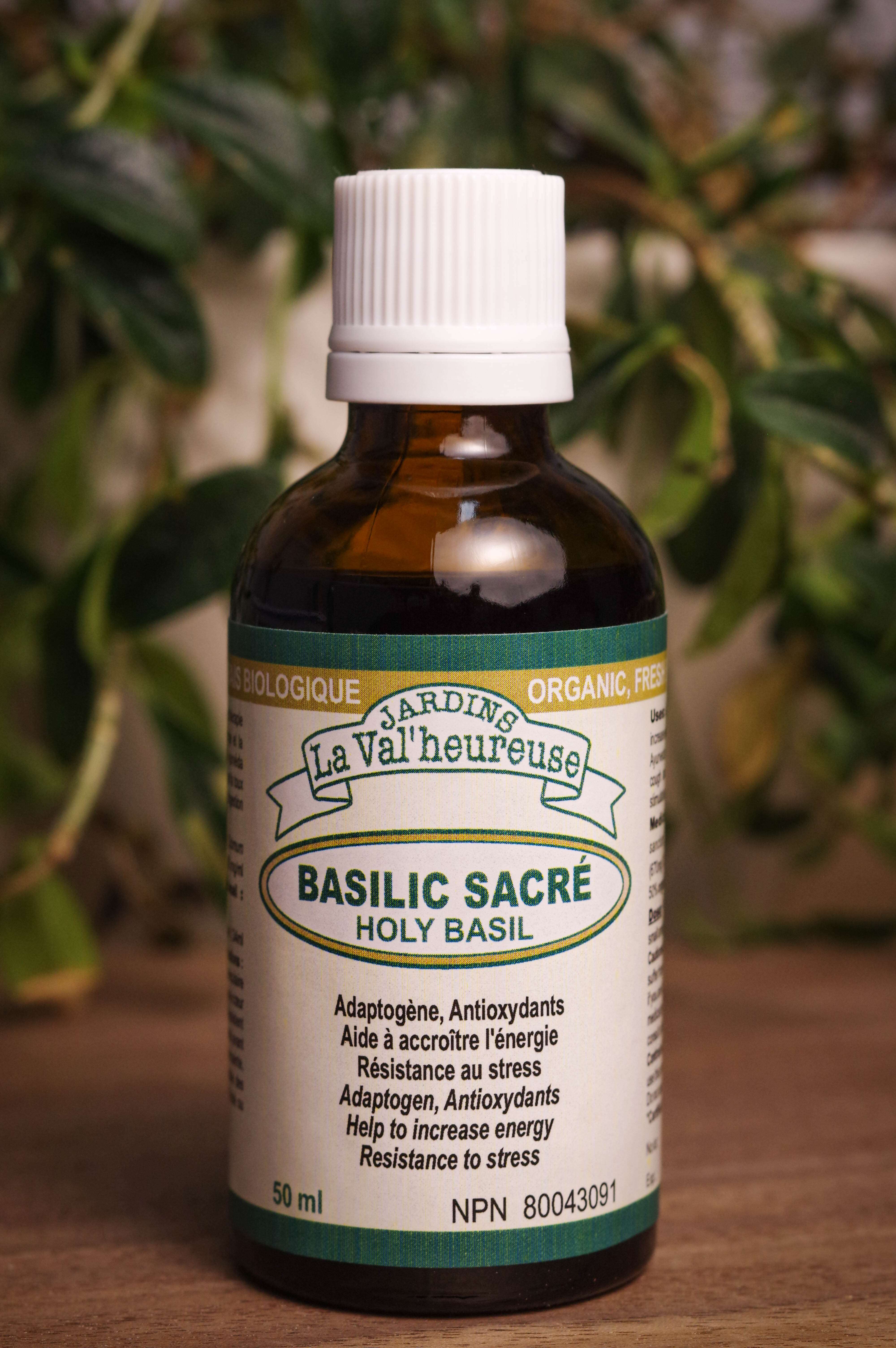 Holy basil tincture 