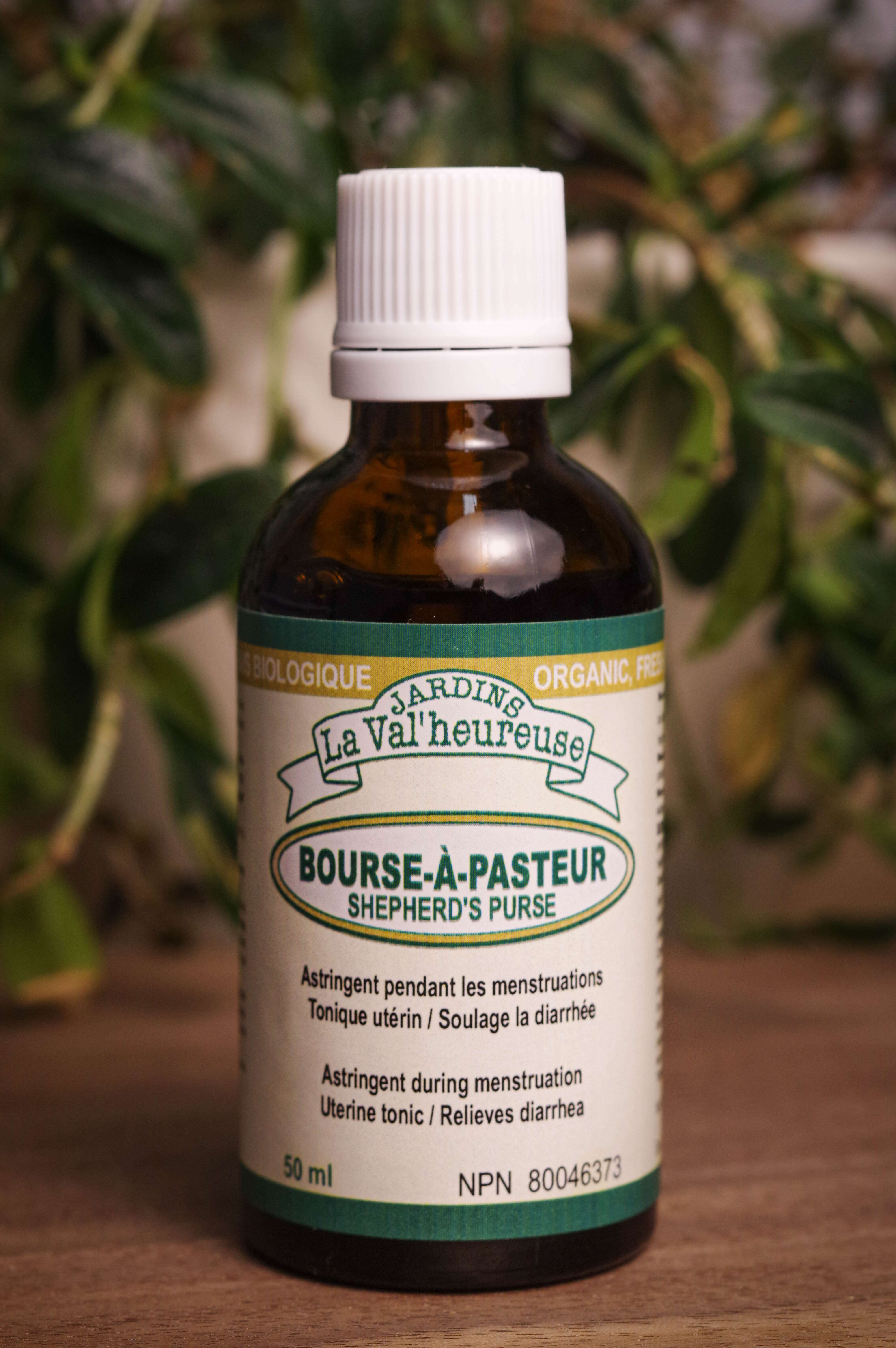 Bouteille de concentré liquide simple de Bourse à Pasteur en gros plan