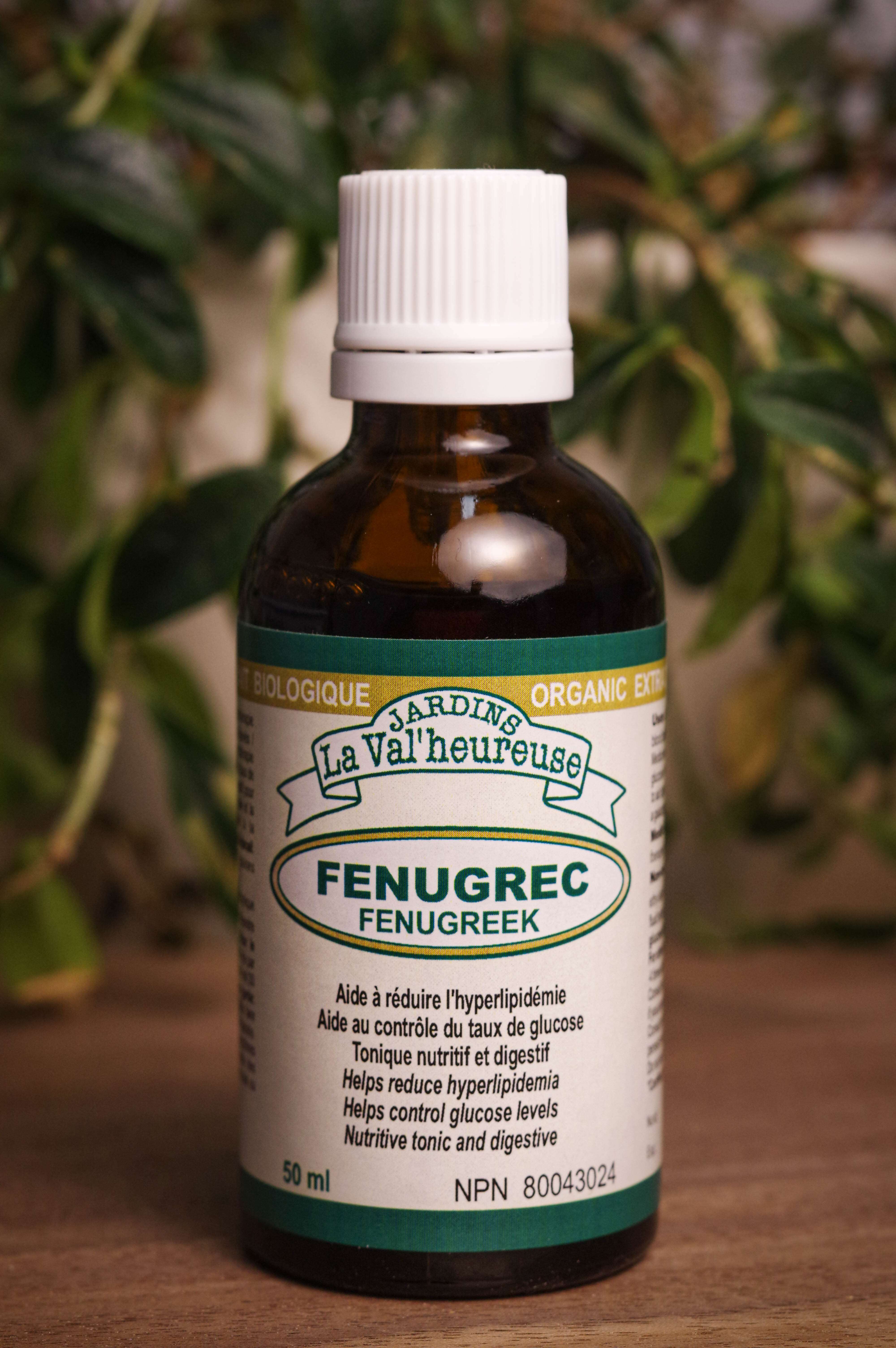 Bouteille de concentré liquide simple de Fenugrec en gros plan