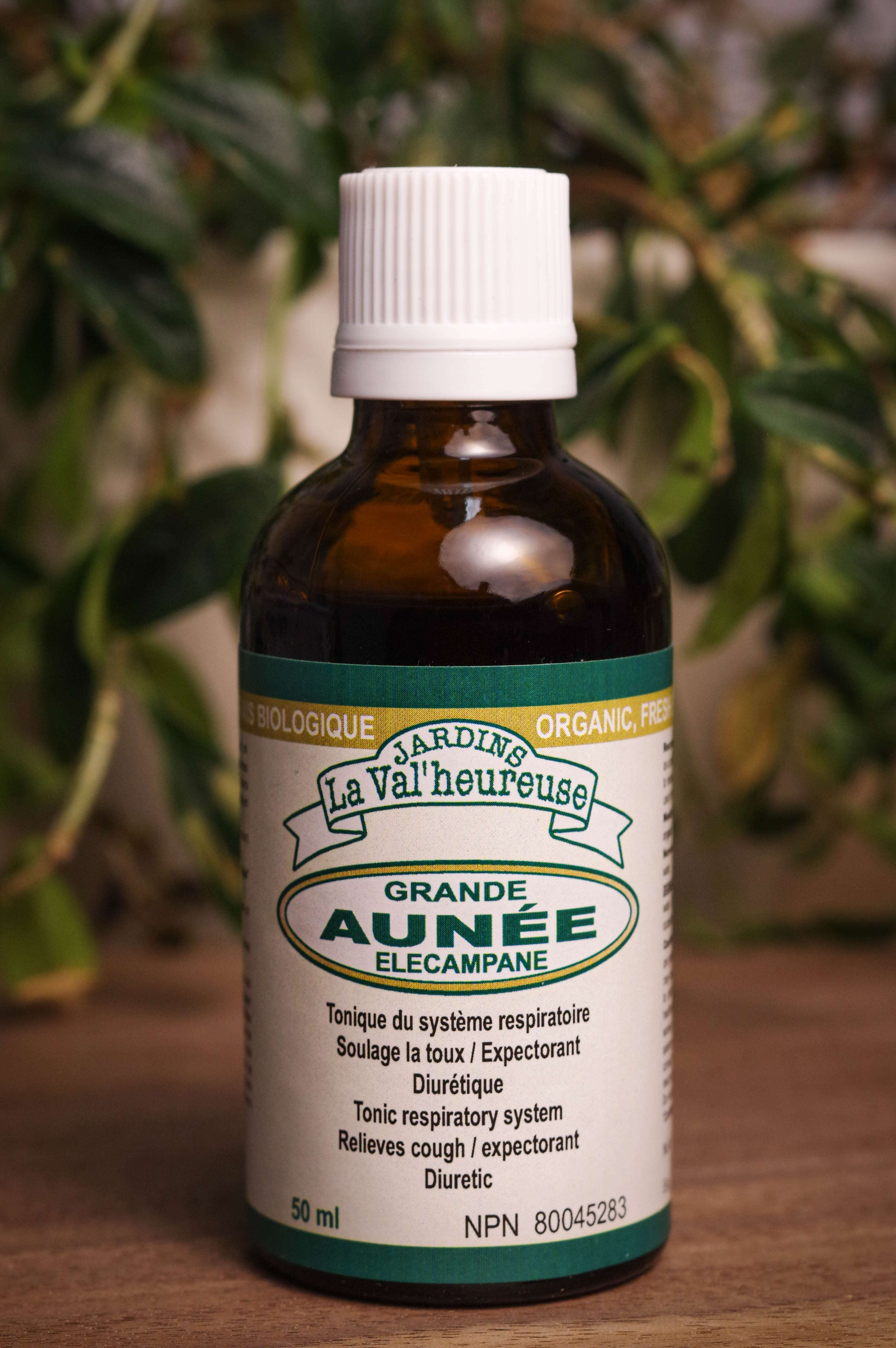 Bouteille de concentré liquide simple de Grande Aunée en gros plan