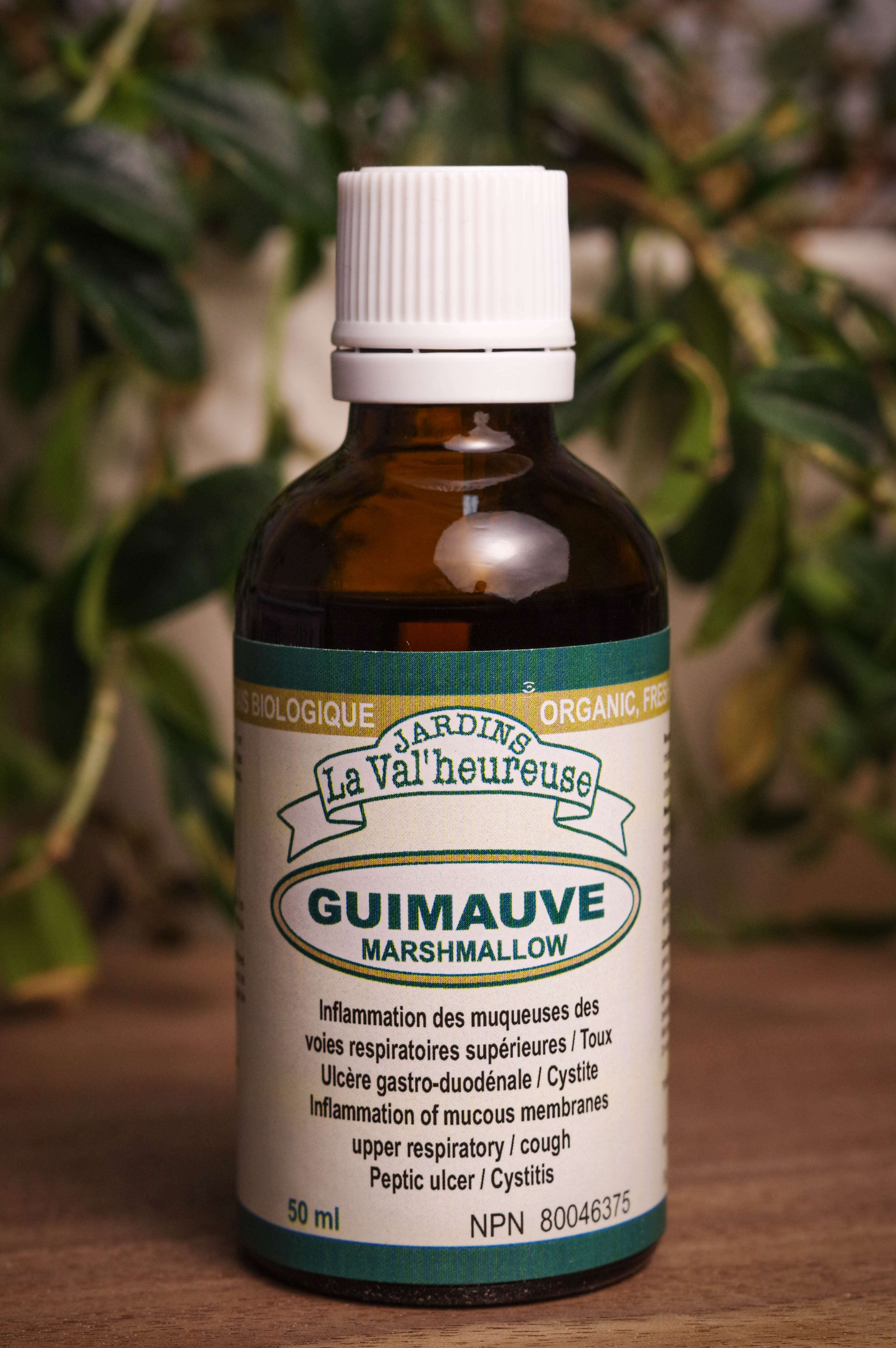 Bouteille de concentré liquide simple de Guimauve en gros plan