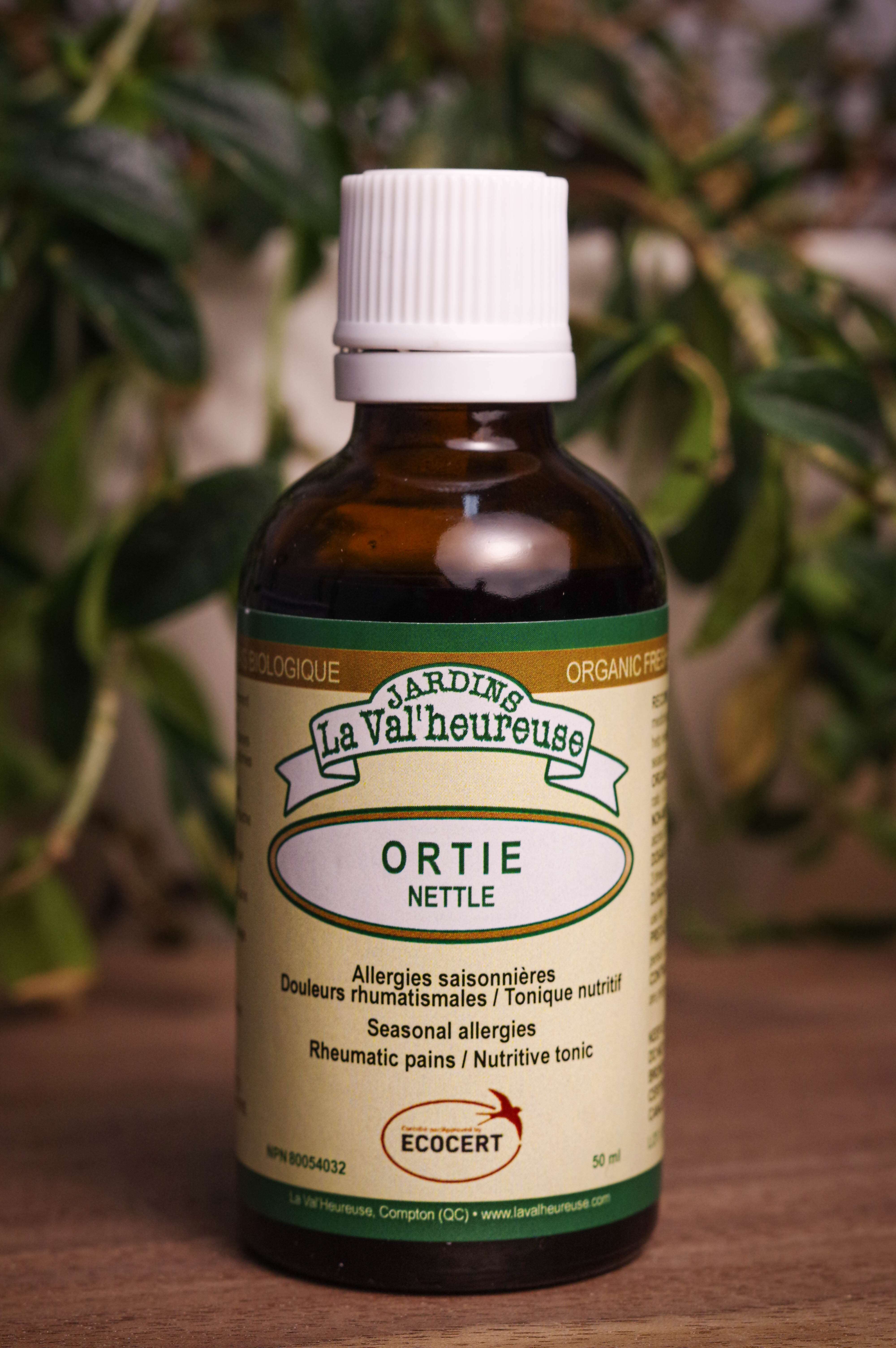Bouteille de concentré liquide simple d'Ortie en gros plan
