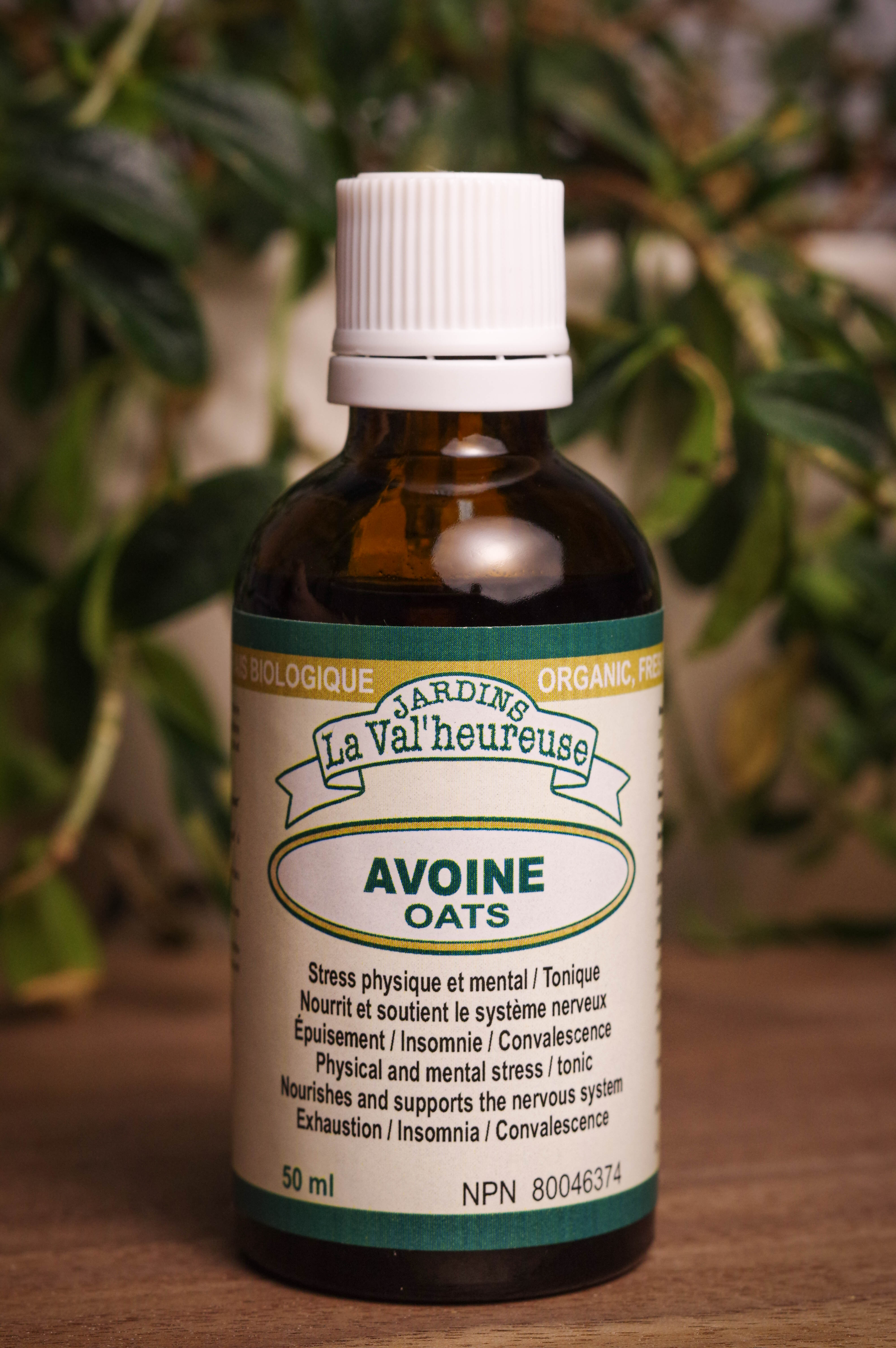 Bouteille de concentré liquide simple d'Avoine en gros plan