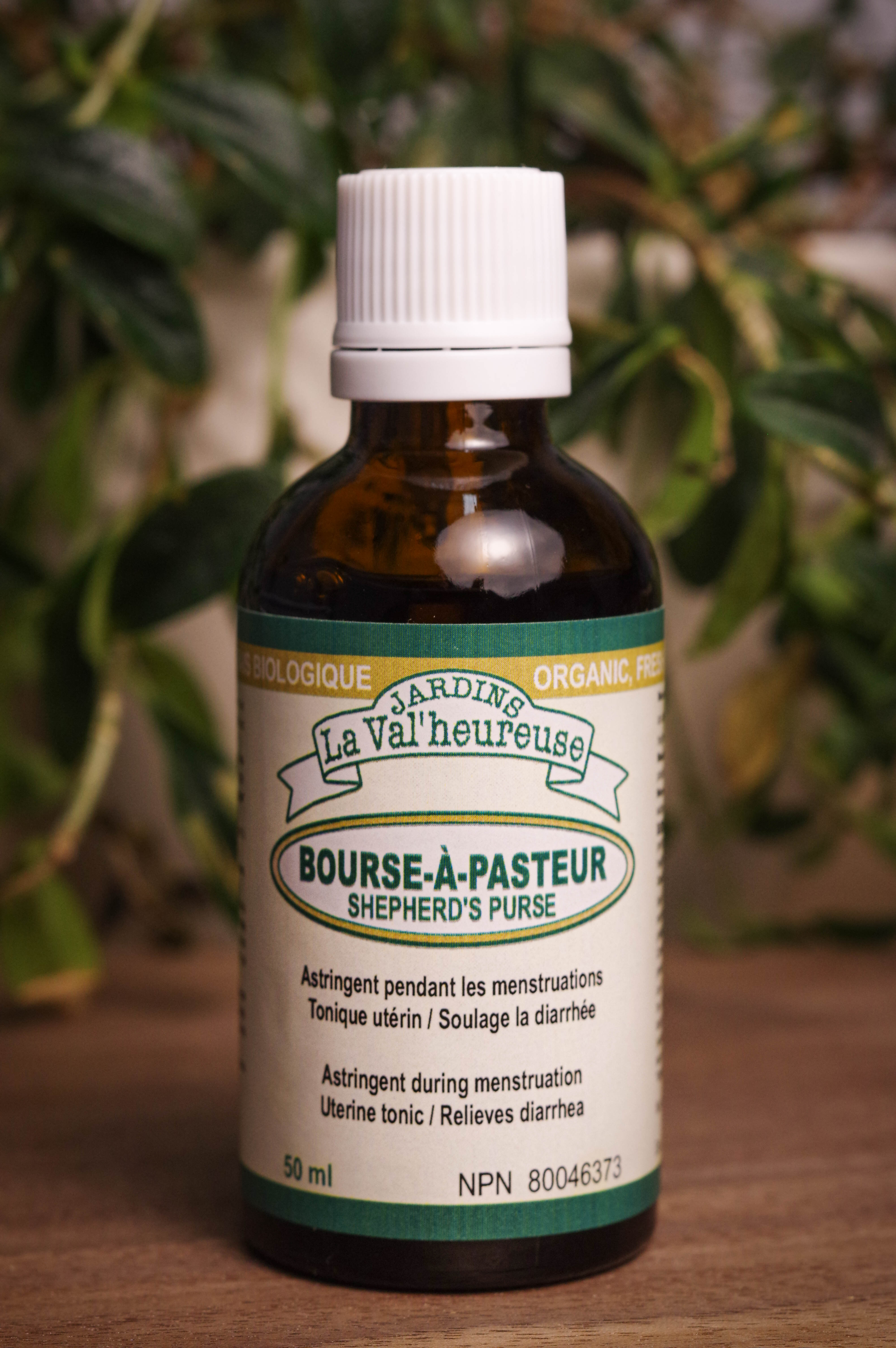 Bouteille de concentré liquide simple de Bourse à Pasteur en gros plan