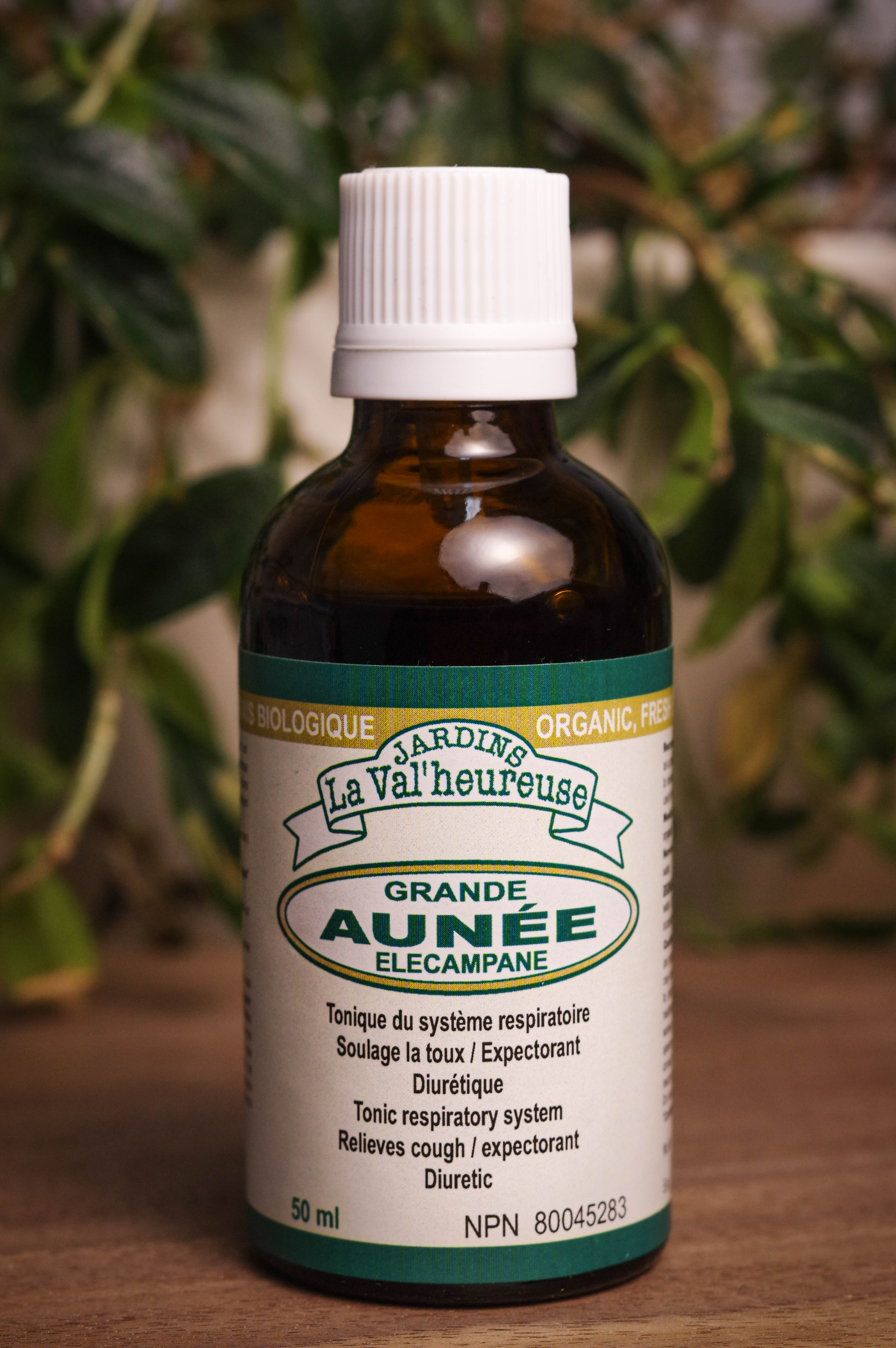 Bouteille de concentré liquide simple de Grande Aunée en gros plan