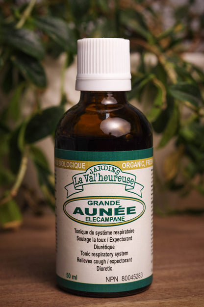 Bouteille de concentré liquide simple de Grande Aunée en gros plan