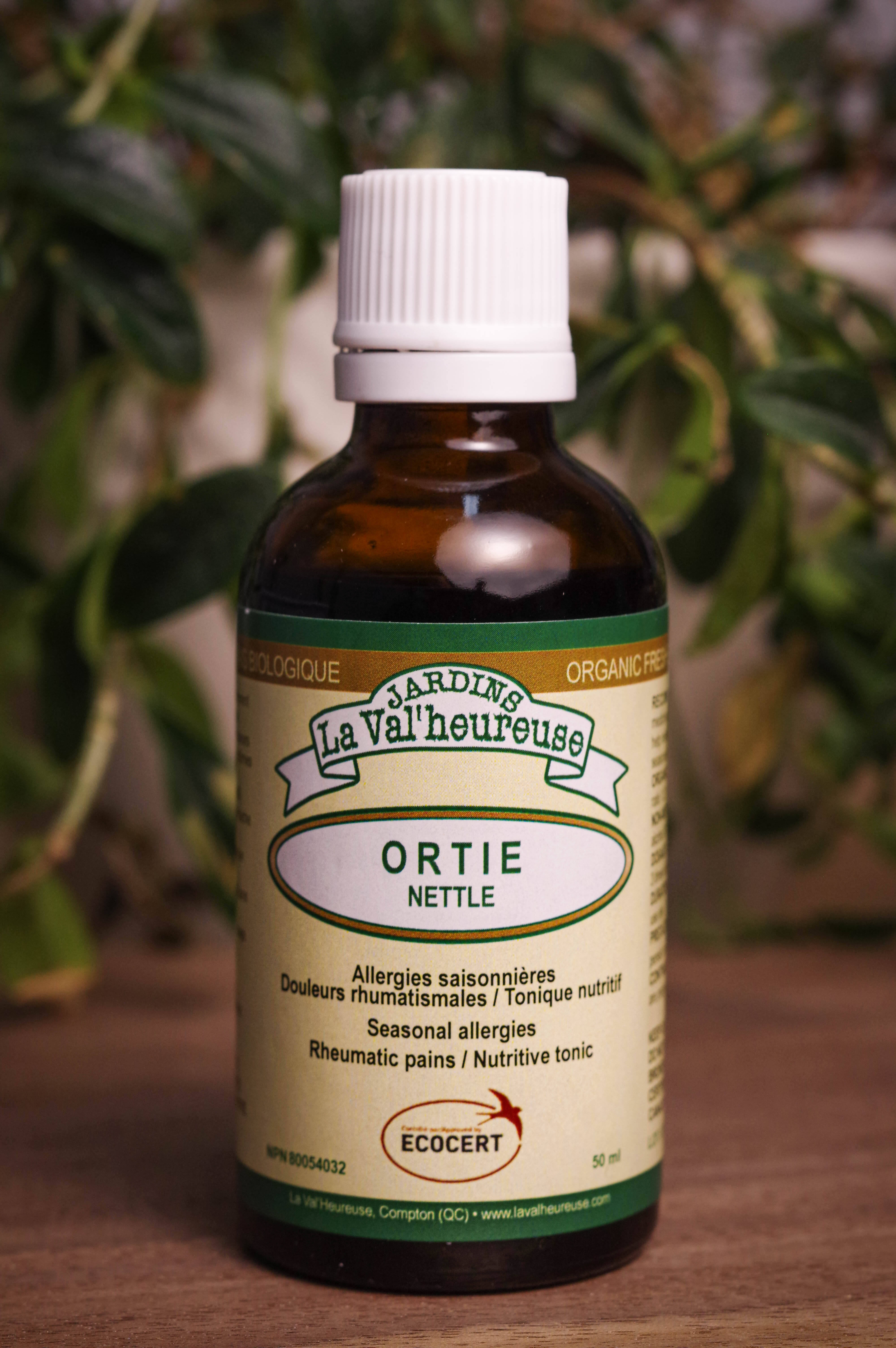 Bouteille de concentré liquide simple d'Ortie en gros plan