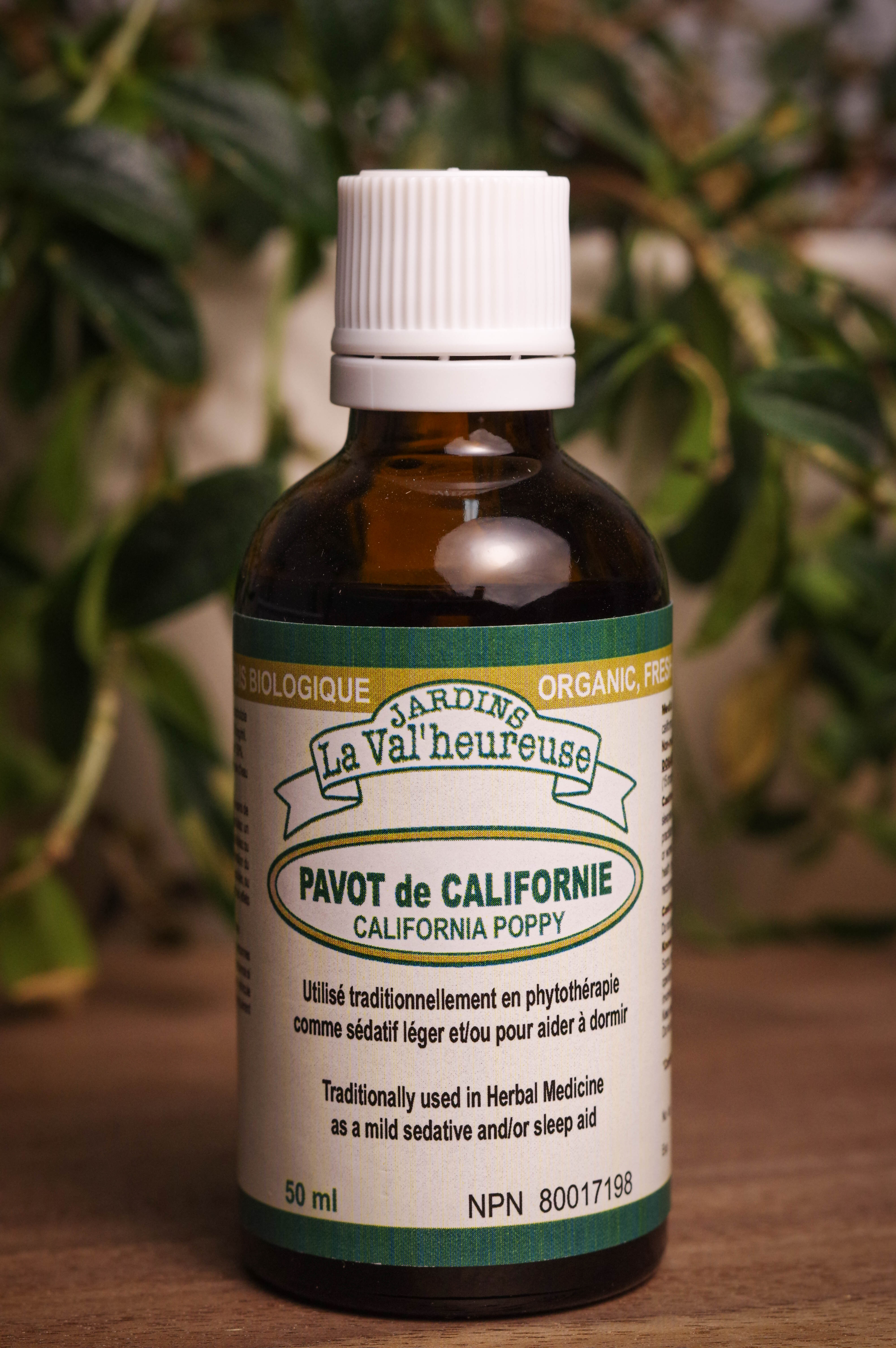 Bouteille de concentré liquide simple de Pavot de Californie en gros plan