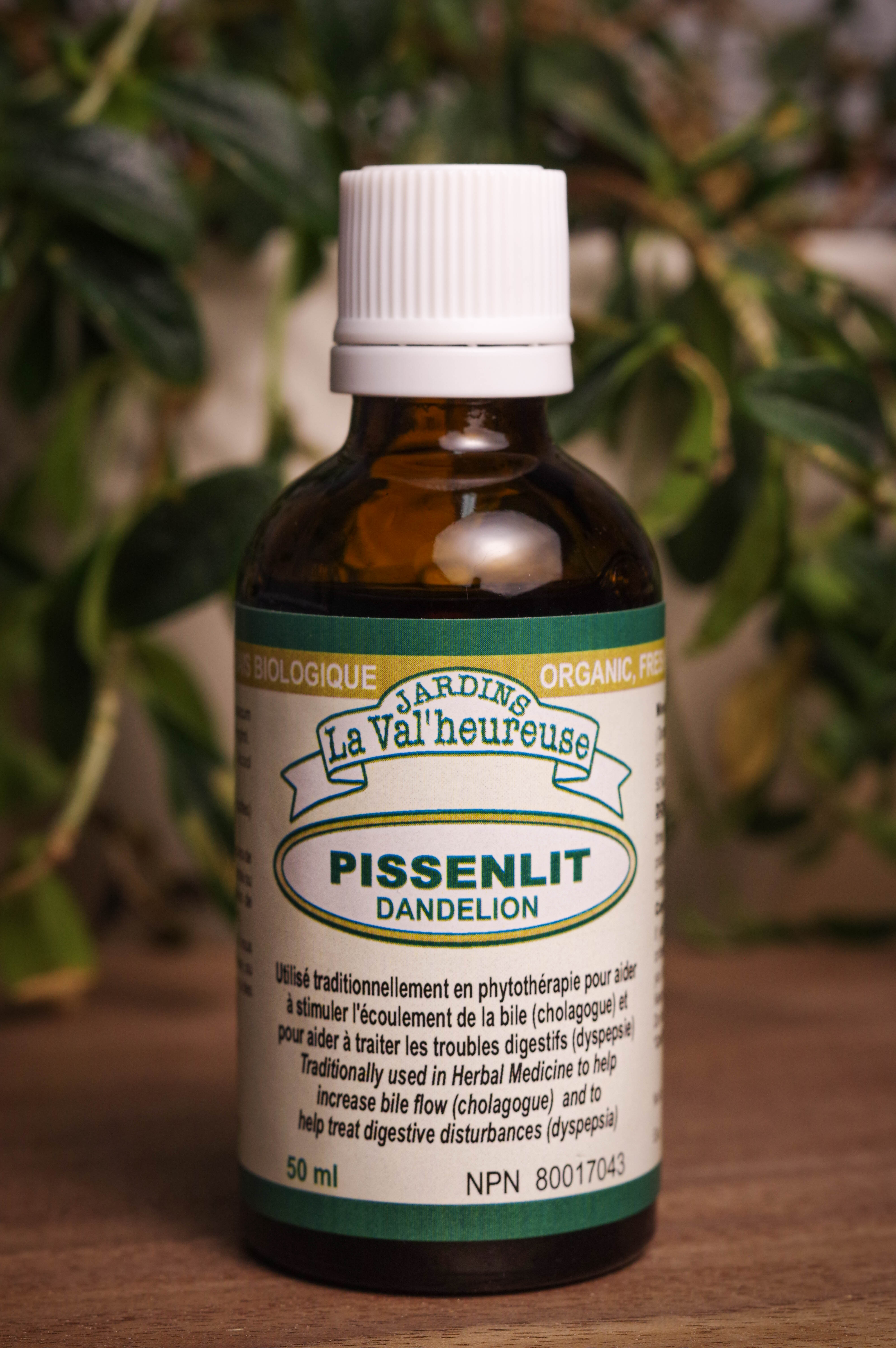 Bouteille de concentré liquide simple de Pissenlit en gros plan