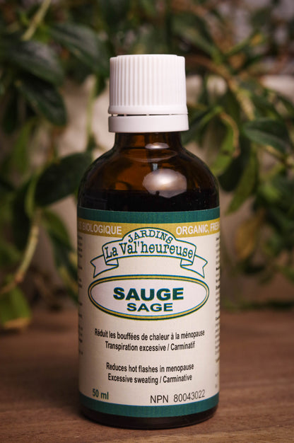 Bouteille de concentré liquide simple de Sauge en gros plan