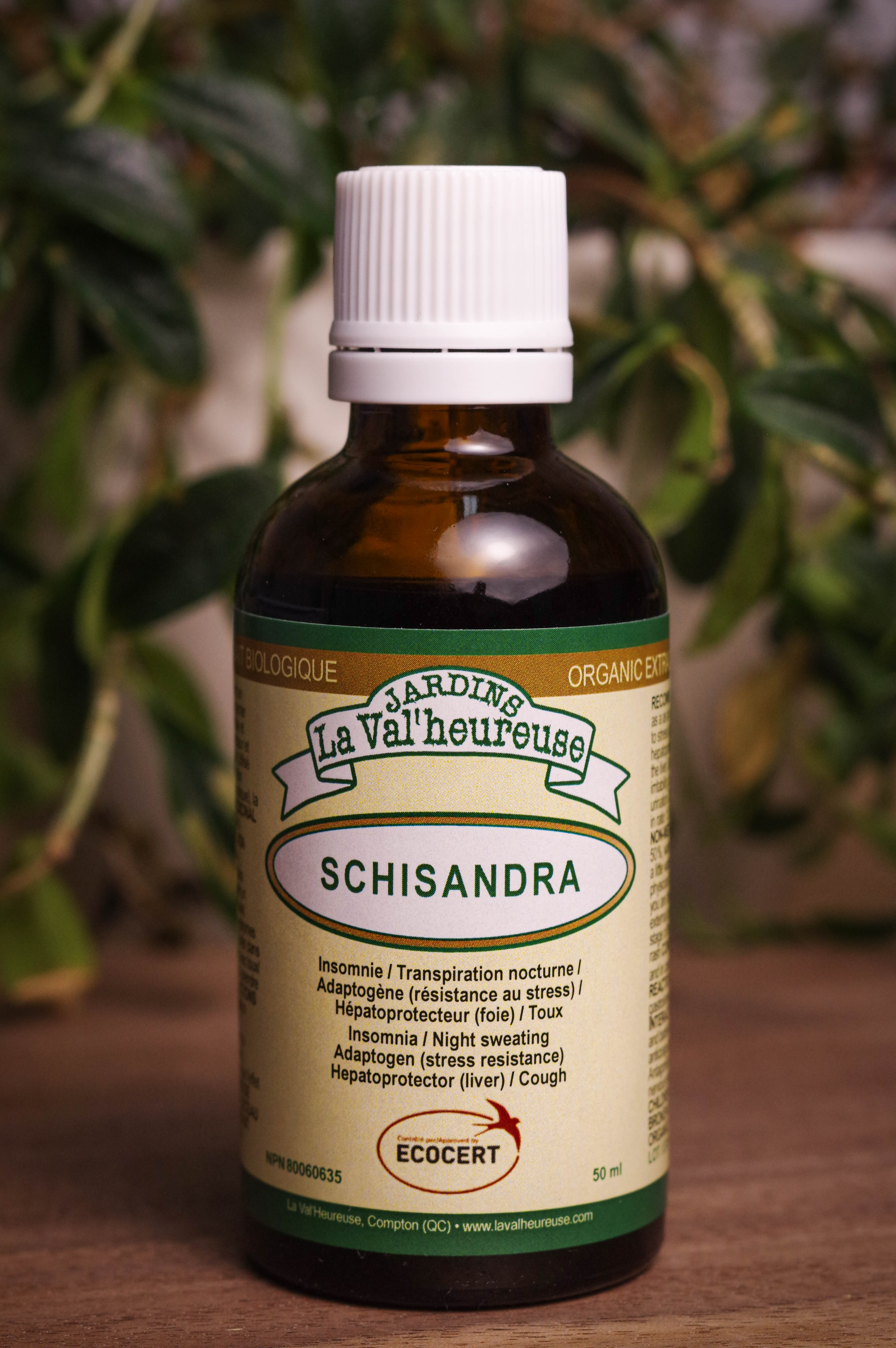 Bouteille de concentré liquide simple de Schisandra en gros plan