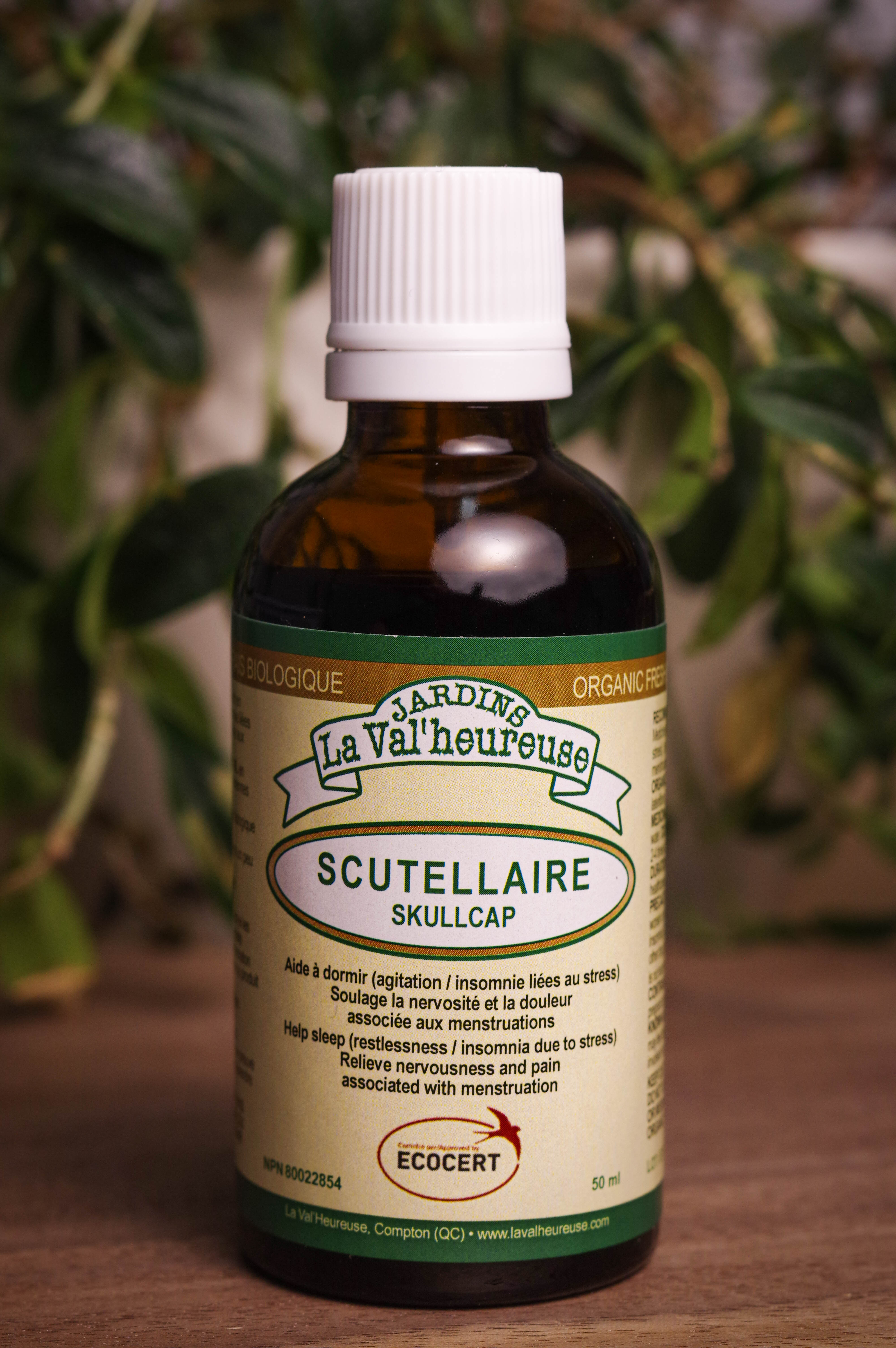 Bouteille de concentré liquide simple de Scutellaire en gros plan