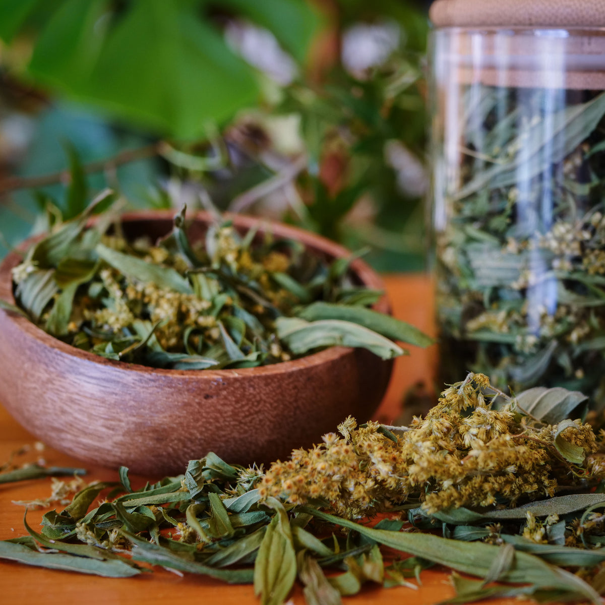 Tisane de Verge d'Or biologique La Val'Heureuse, mise en valeur dans un bol en bois et un bocal en bois.
