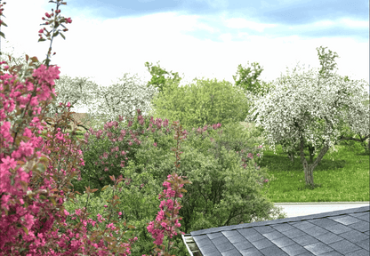 Vue sur le verger de la Val'Heureuse au printemps. Les pommiers sont en fleur.