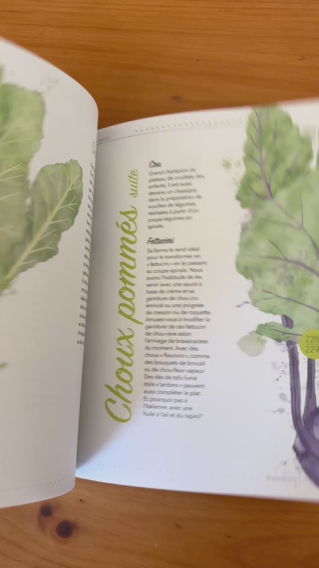 Charger la vidéo: La saison des légumes