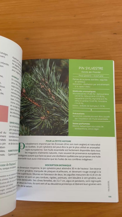 Les huiles essentielles du Québec